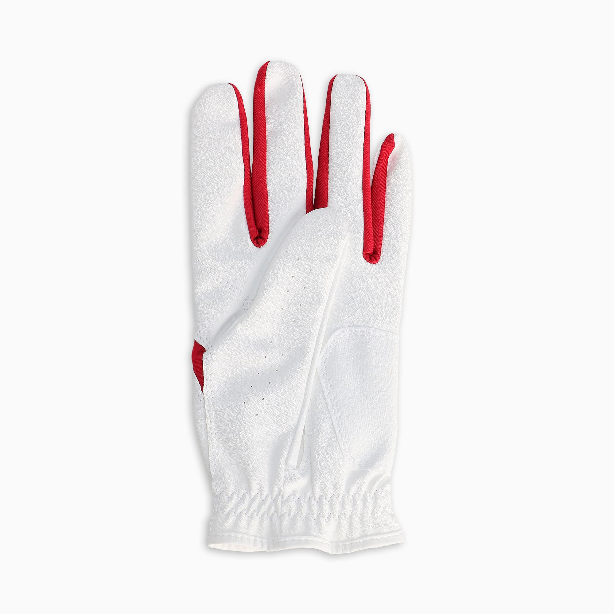PUMA プーマ ゴルフ グローブ メンズ フュージョン グリップ 2.0