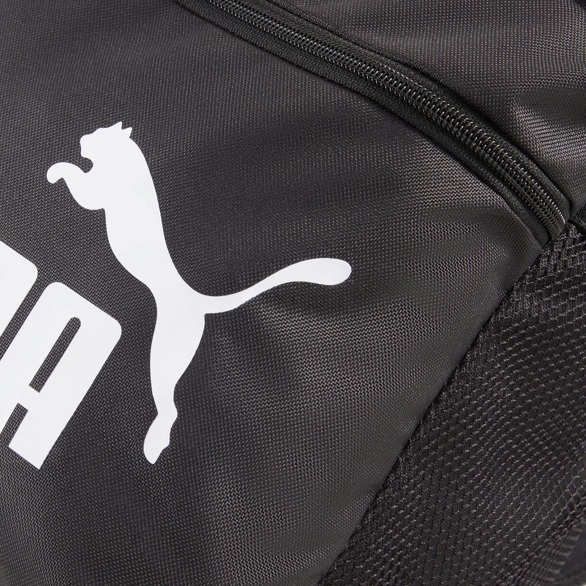 Sac new arrivals puma king