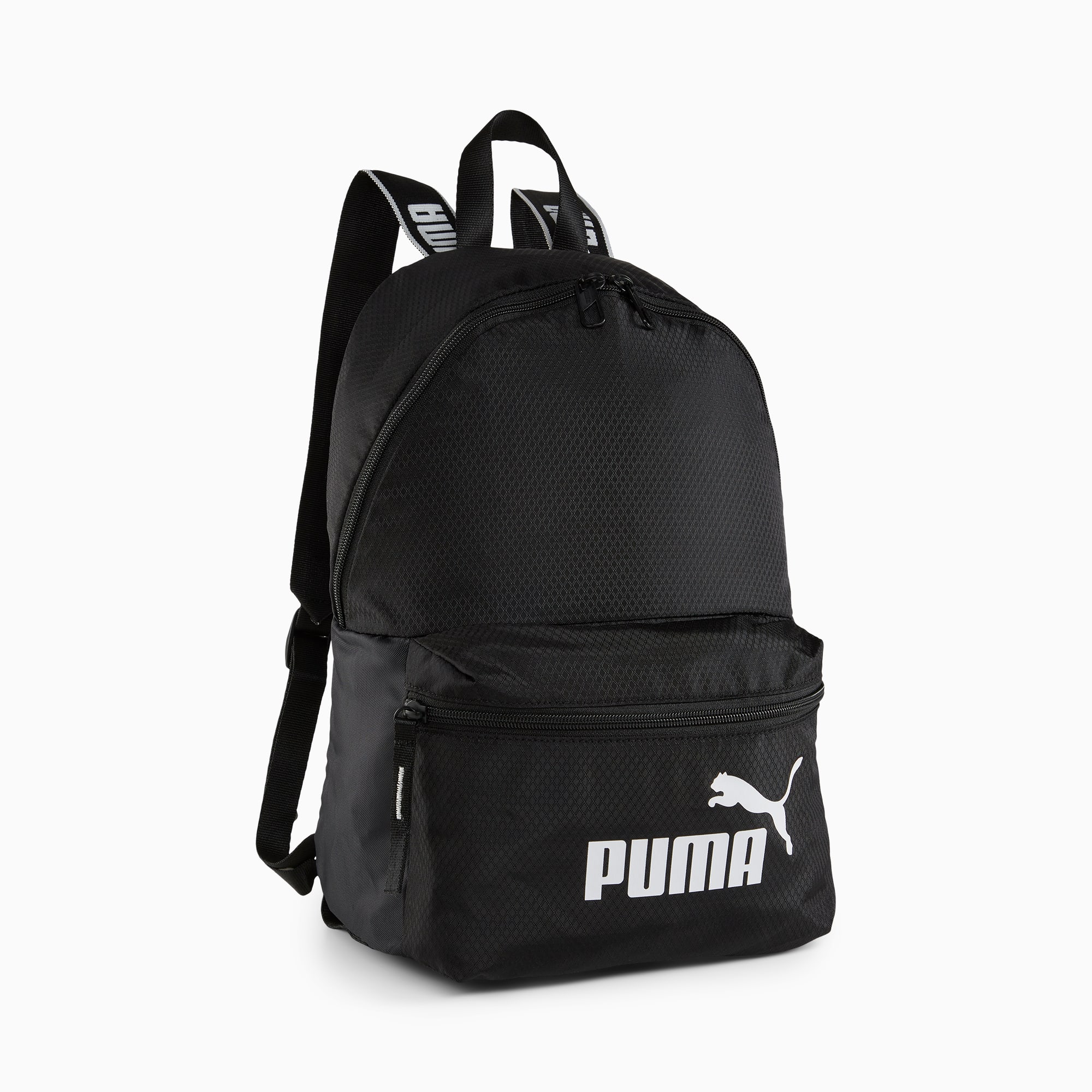 Puma PHASE UNISEX - Mochila - eucalyptus/verde 