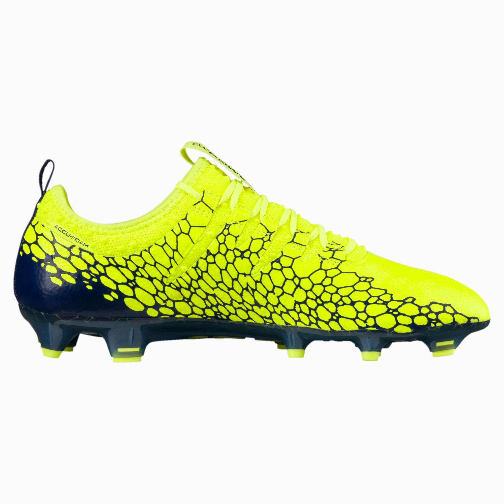 Puma evospeed 2.2 graphic firm ground cleats online
