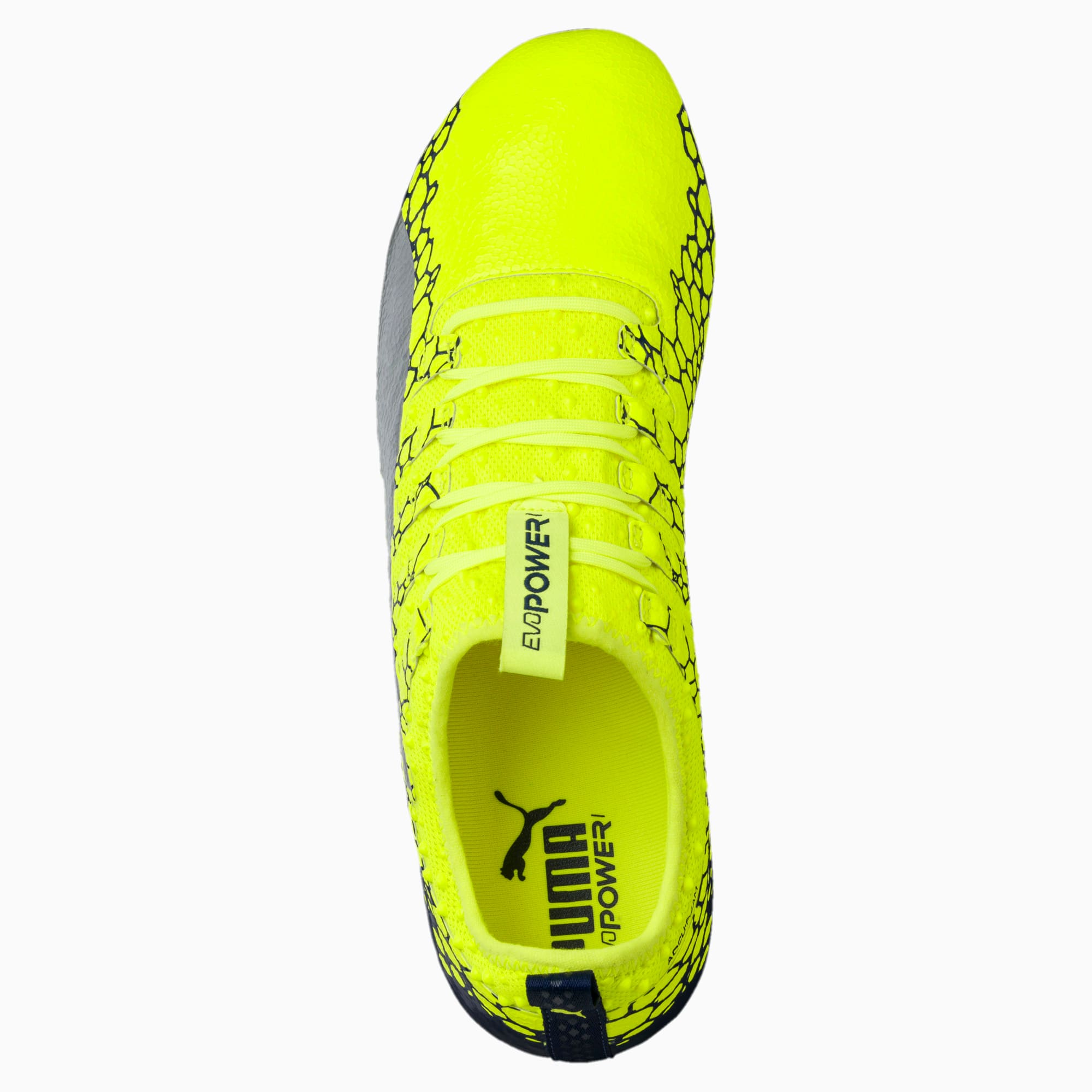 evopower vigor 1 graphic fg