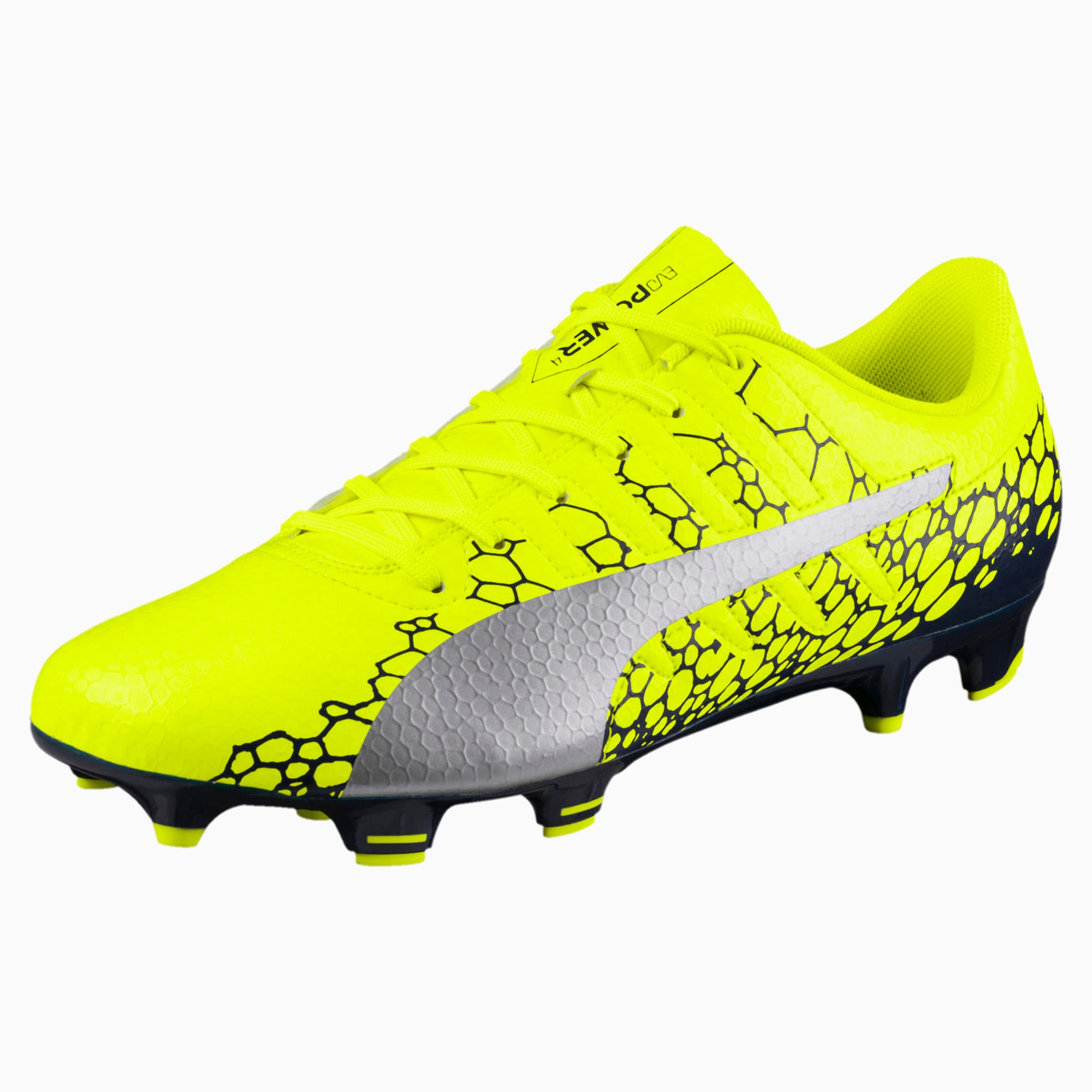evopower vigor 4