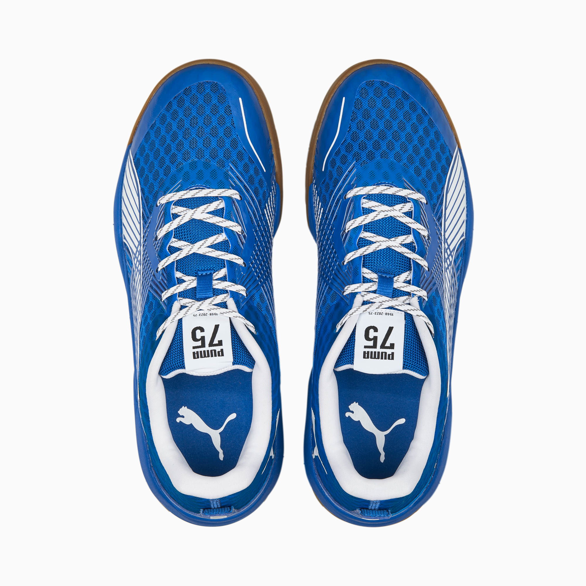 Chaussure hot sale puma handball