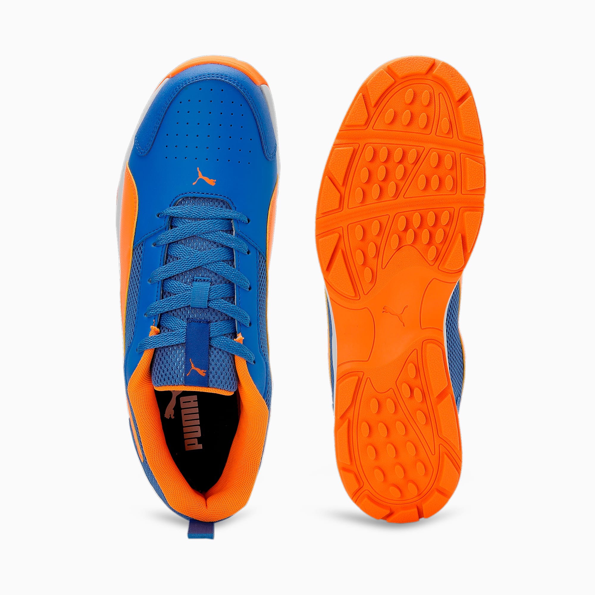 Puma shoes for men cricket hot sale