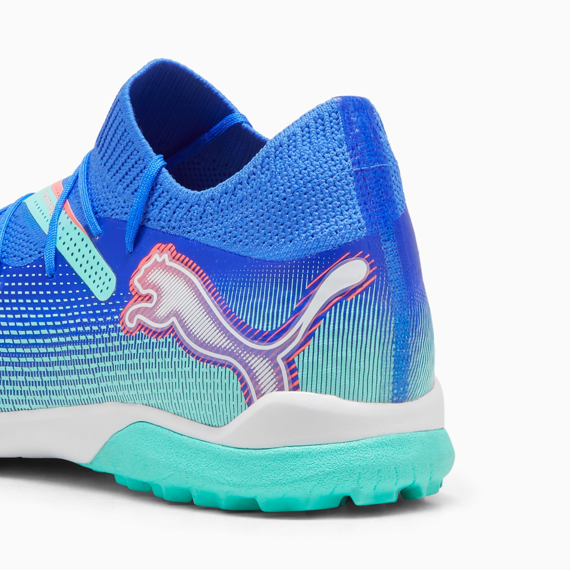 Puma cage top