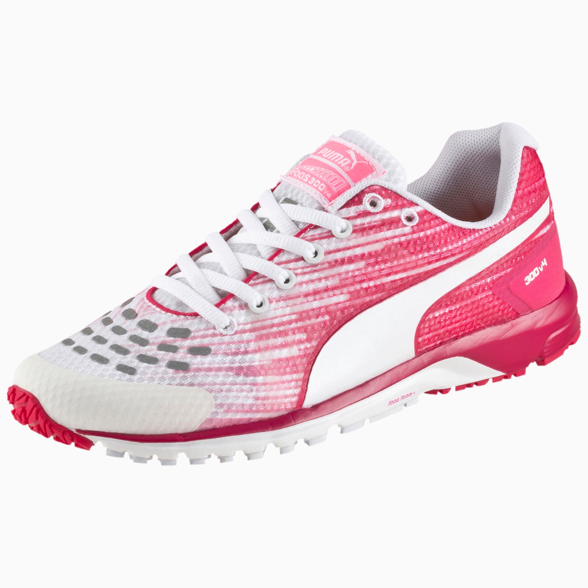 Faas 300 v4 online