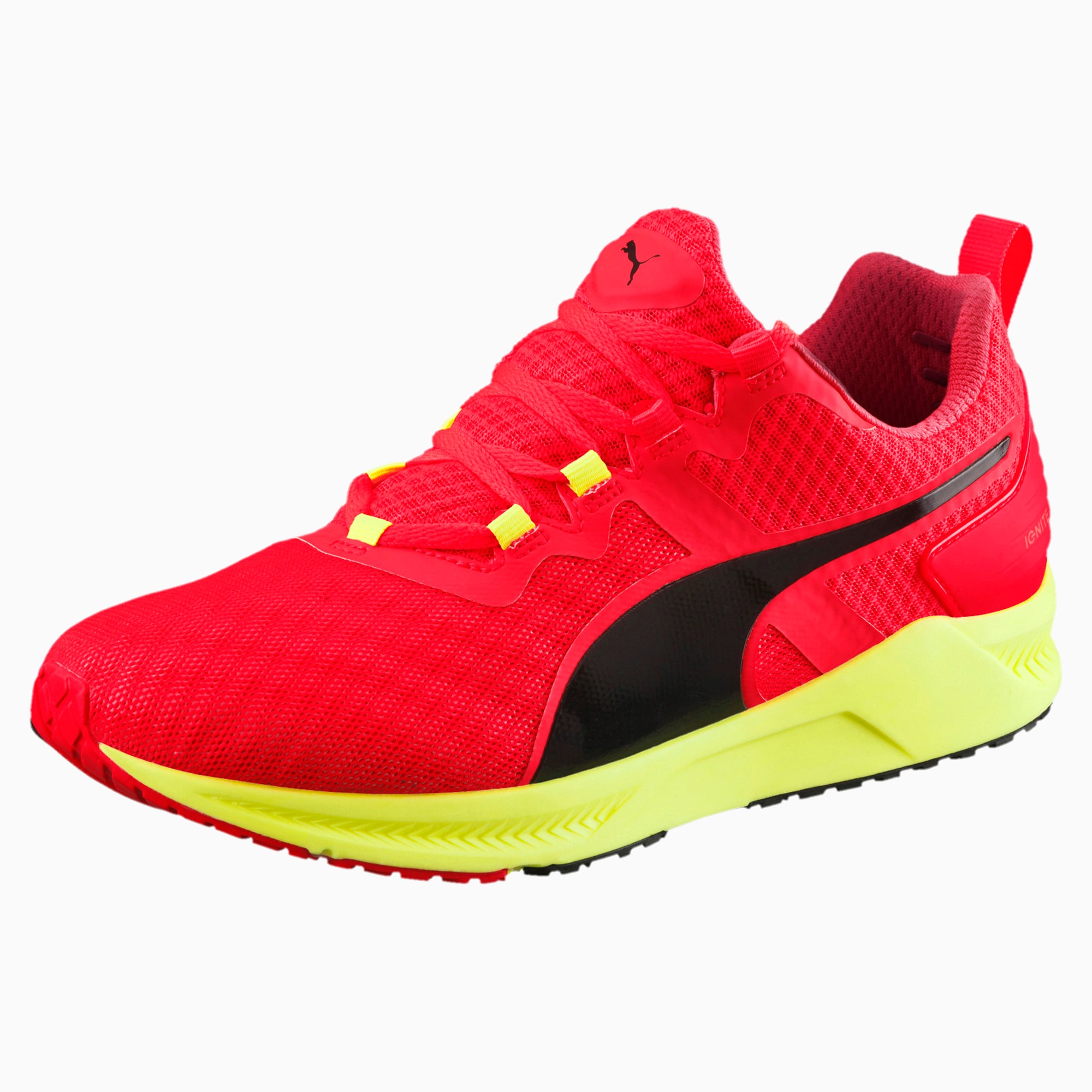 Ignite xt