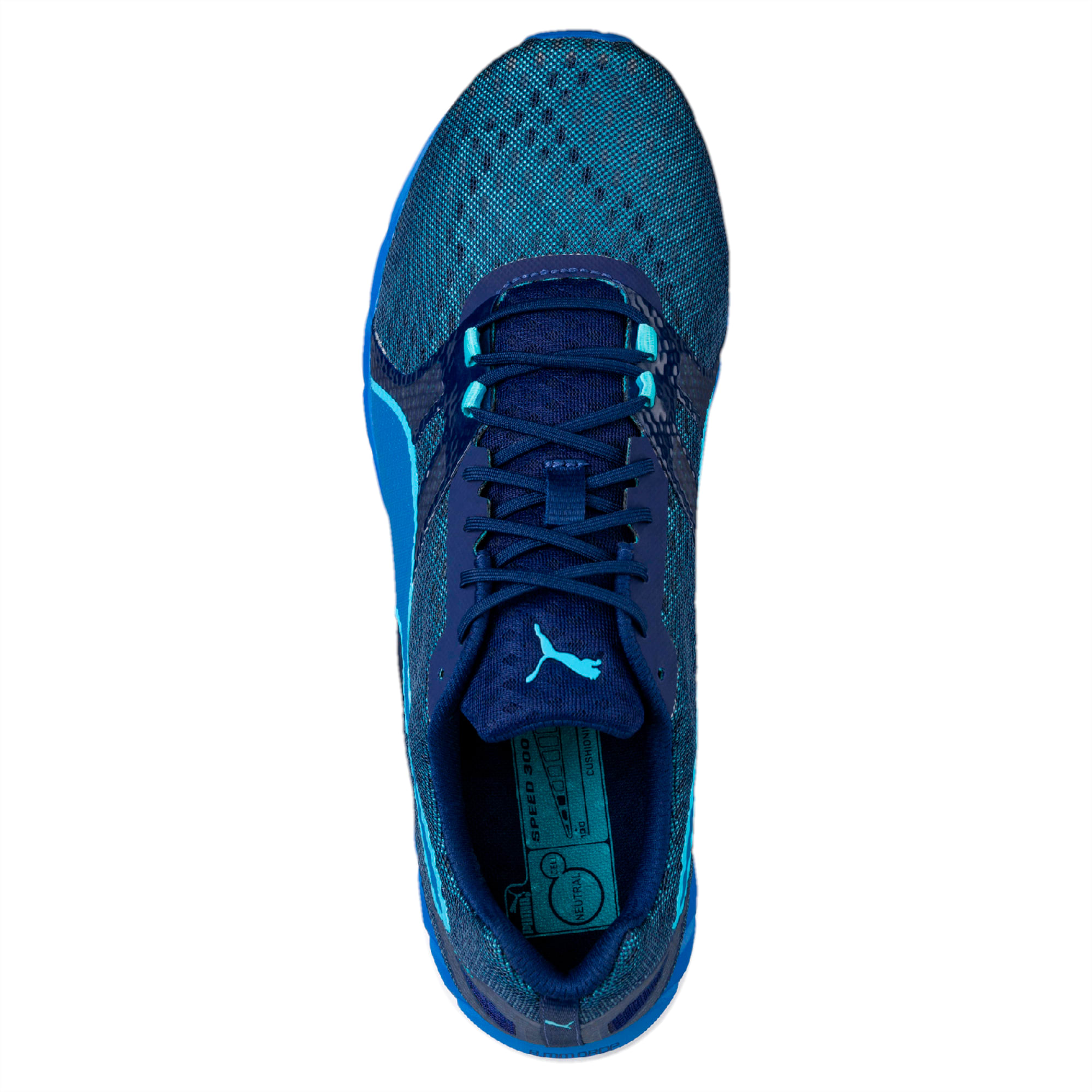 puma speed 300 ignite 2