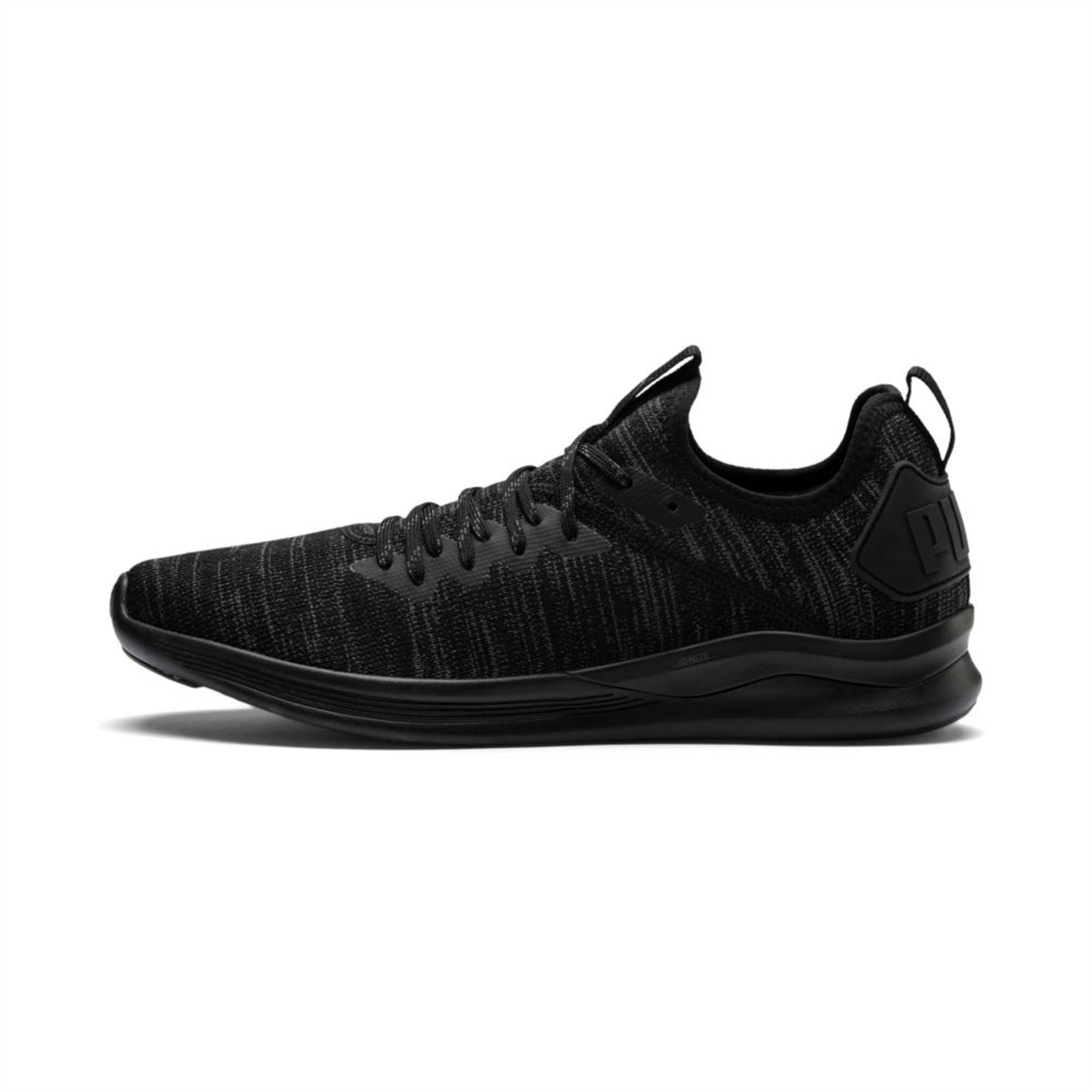 IGNITE Flash evoKNIT Men's Training Shoes | Puma Black | PUMA Running ...