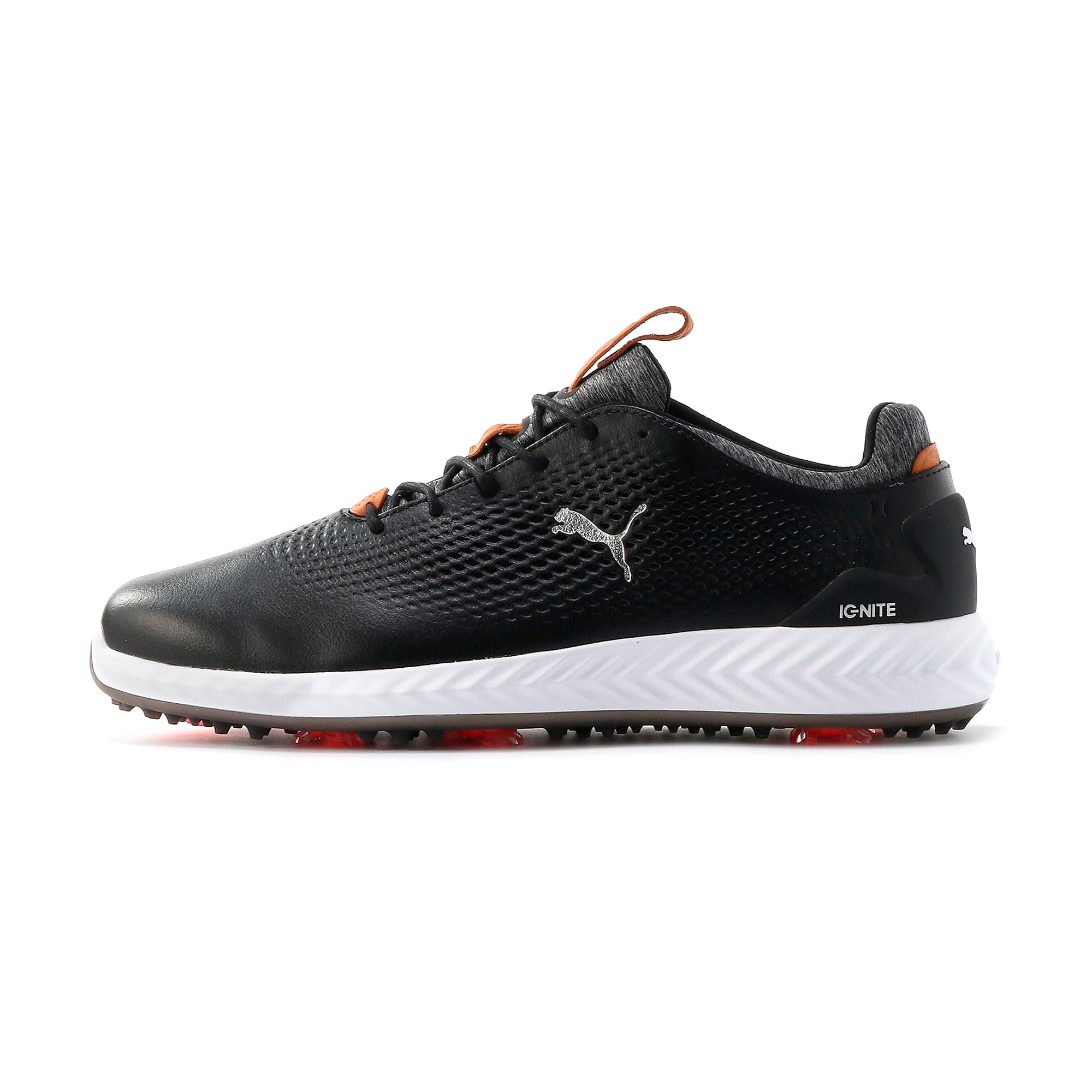 IGNITE PWRADAPT Leather Men's Golf 