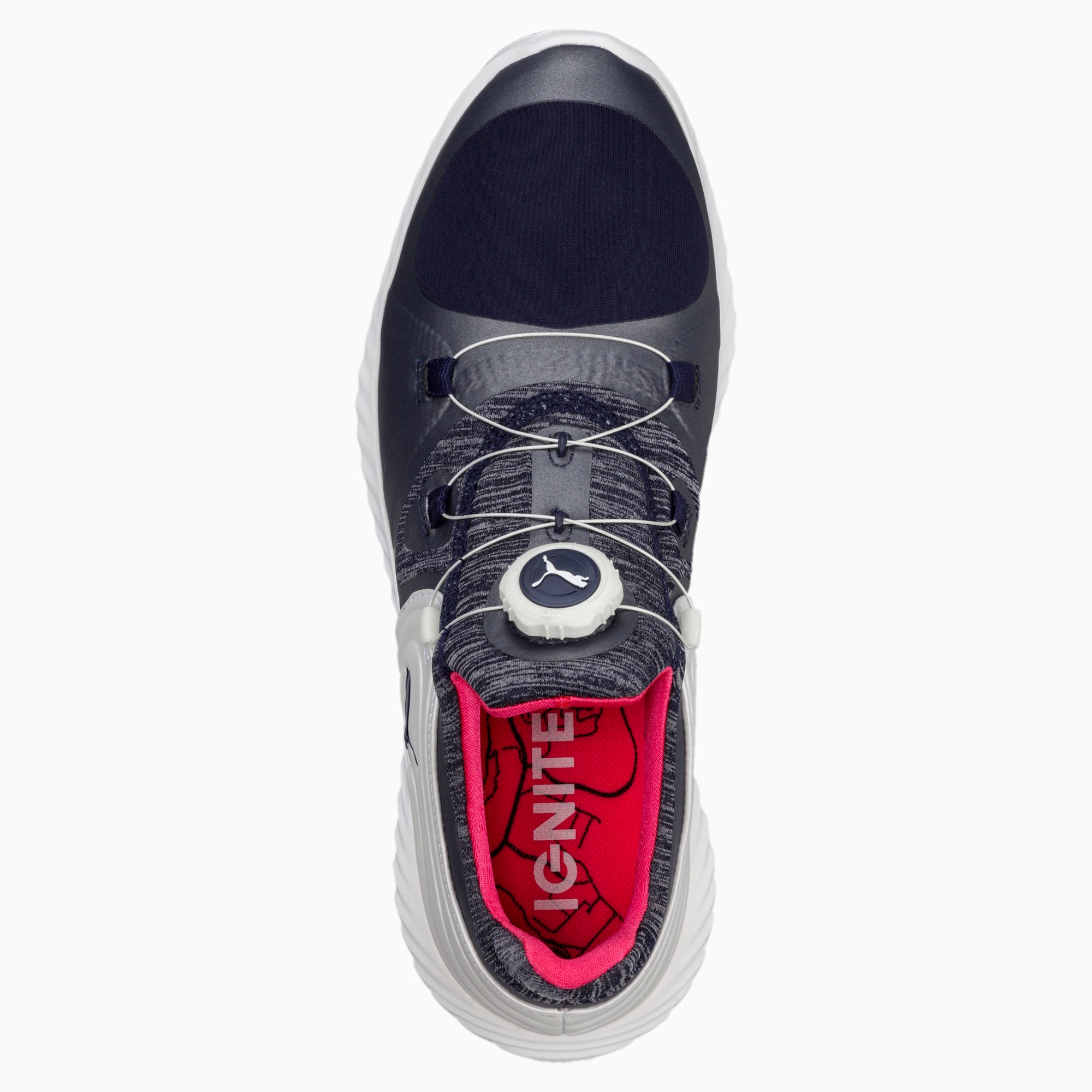 ignite blaze sport disc