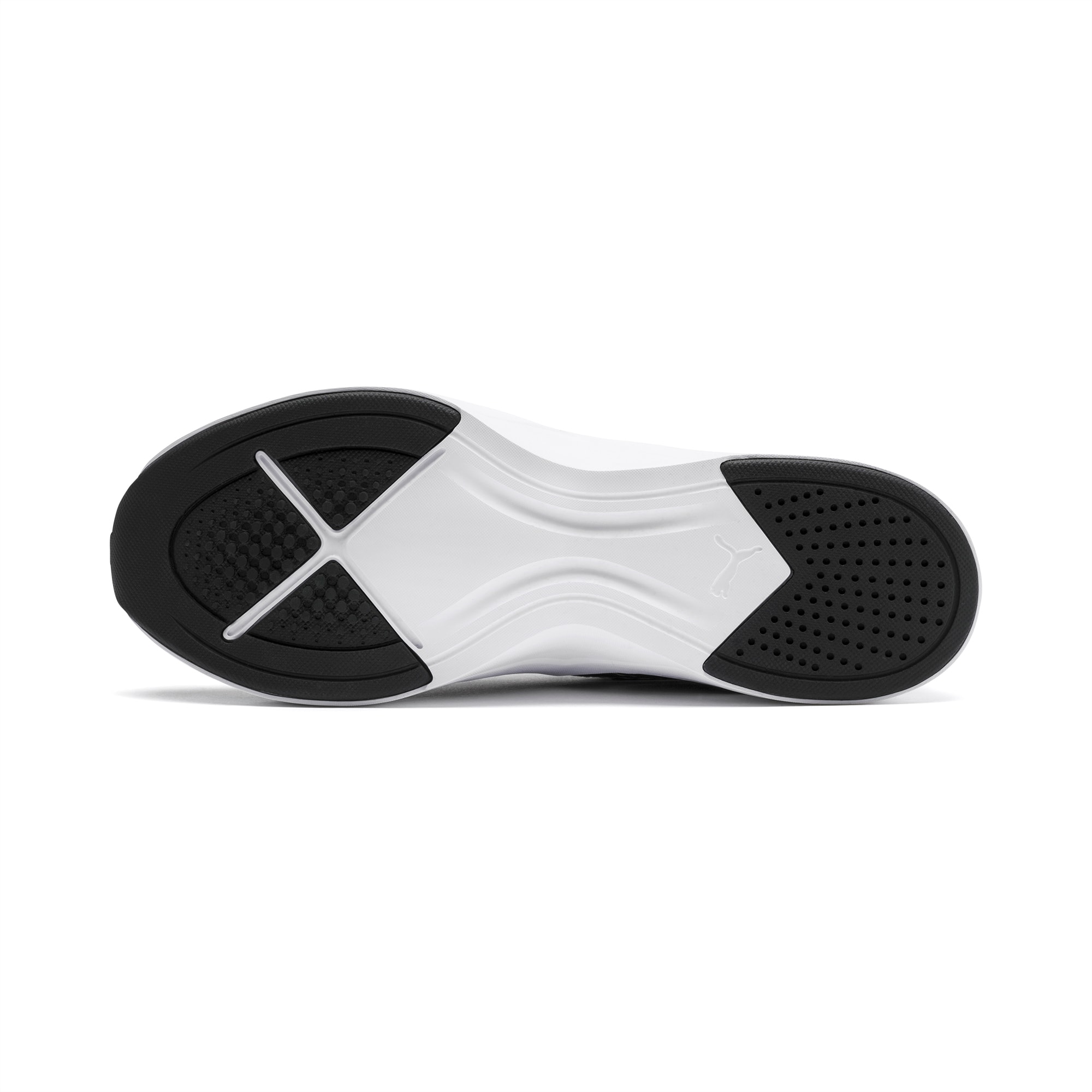 puma incite leopard