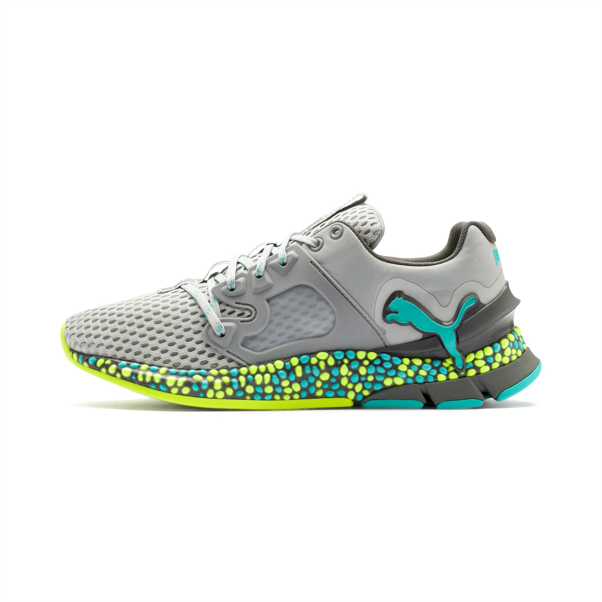 Hybrid sky puma 2025