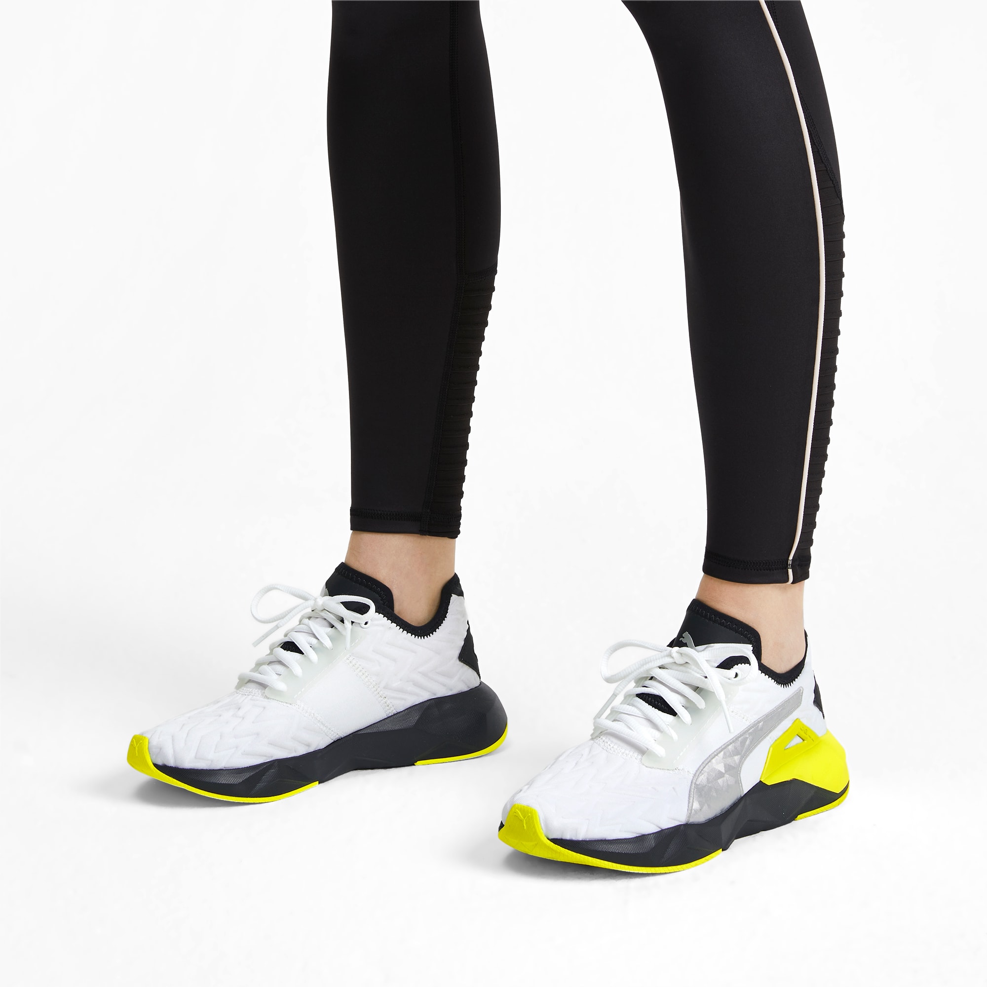 cell plasmic puma cell plasmic puma