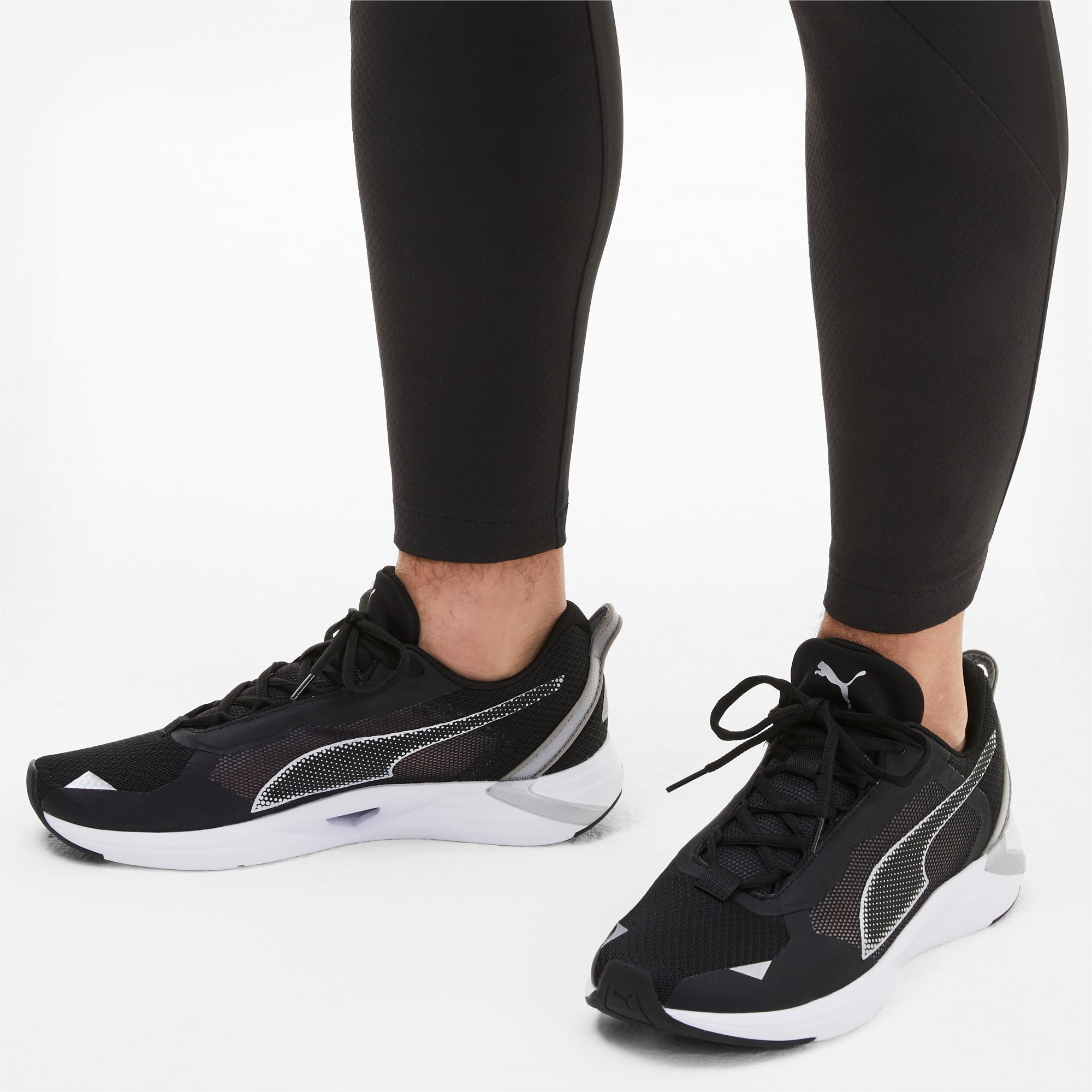 Puma minima