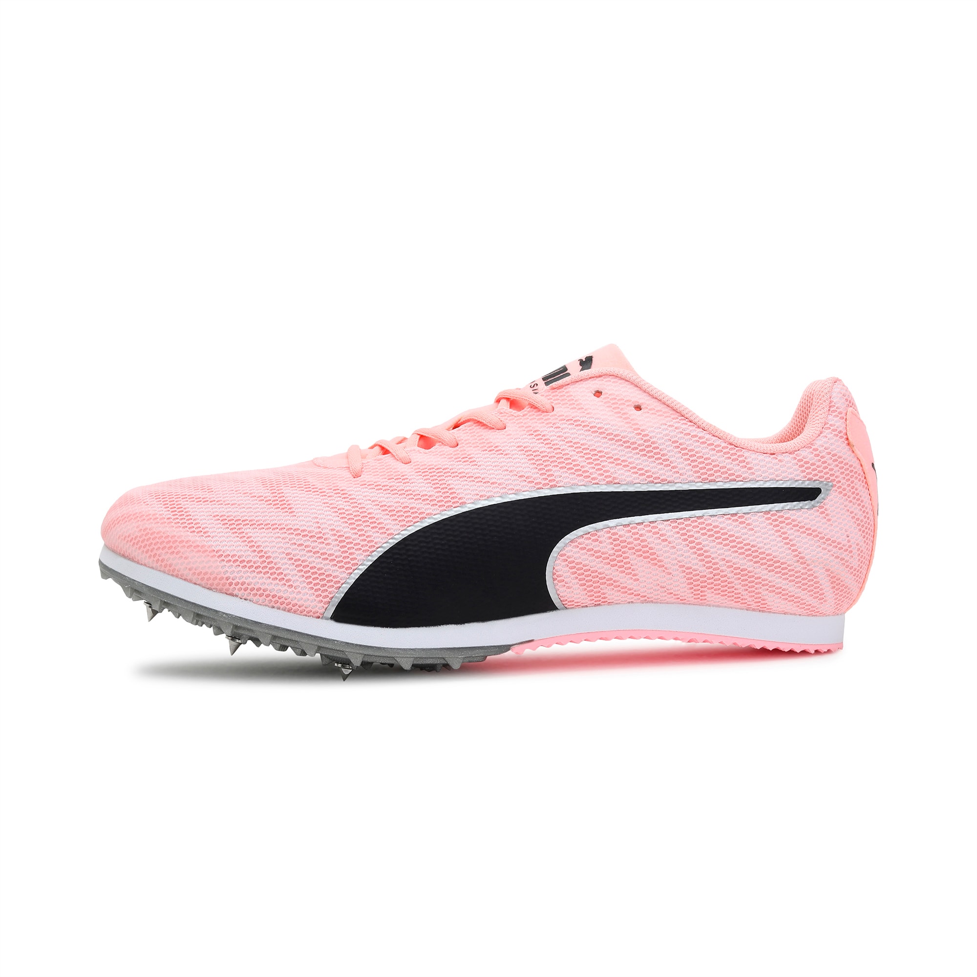 Puma evospeed new arrivals india