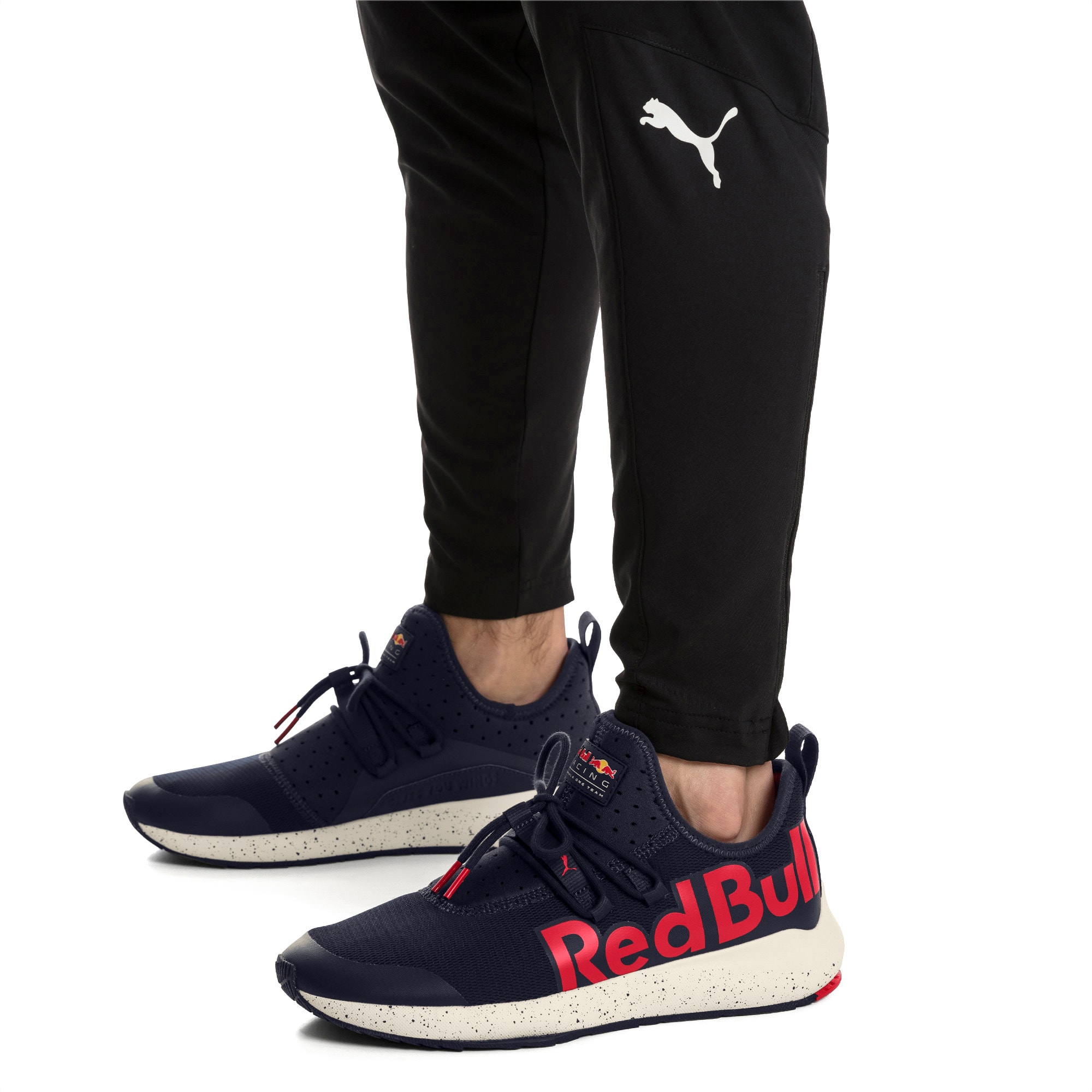 puma rbr evo cat ii gra