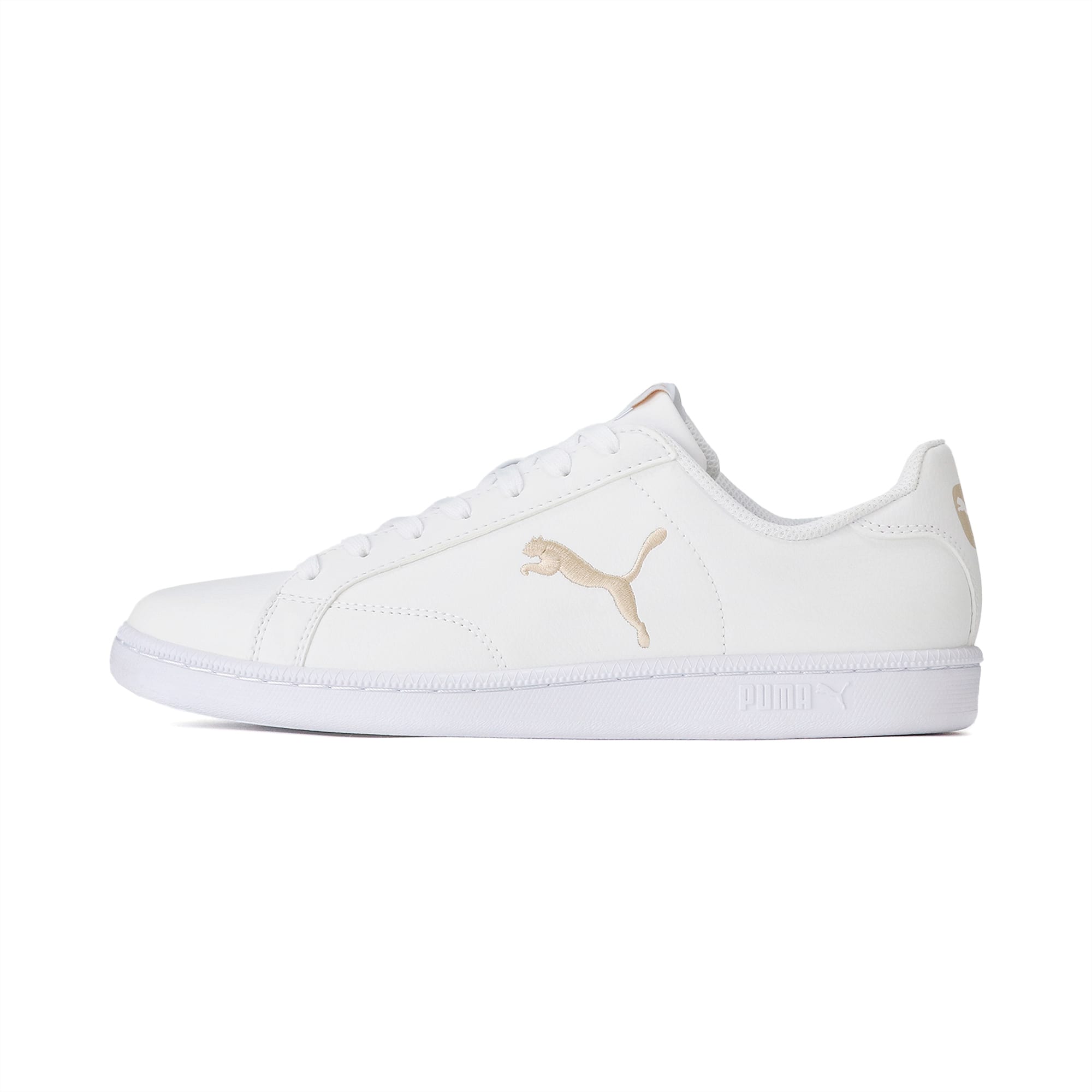 White puma cat online