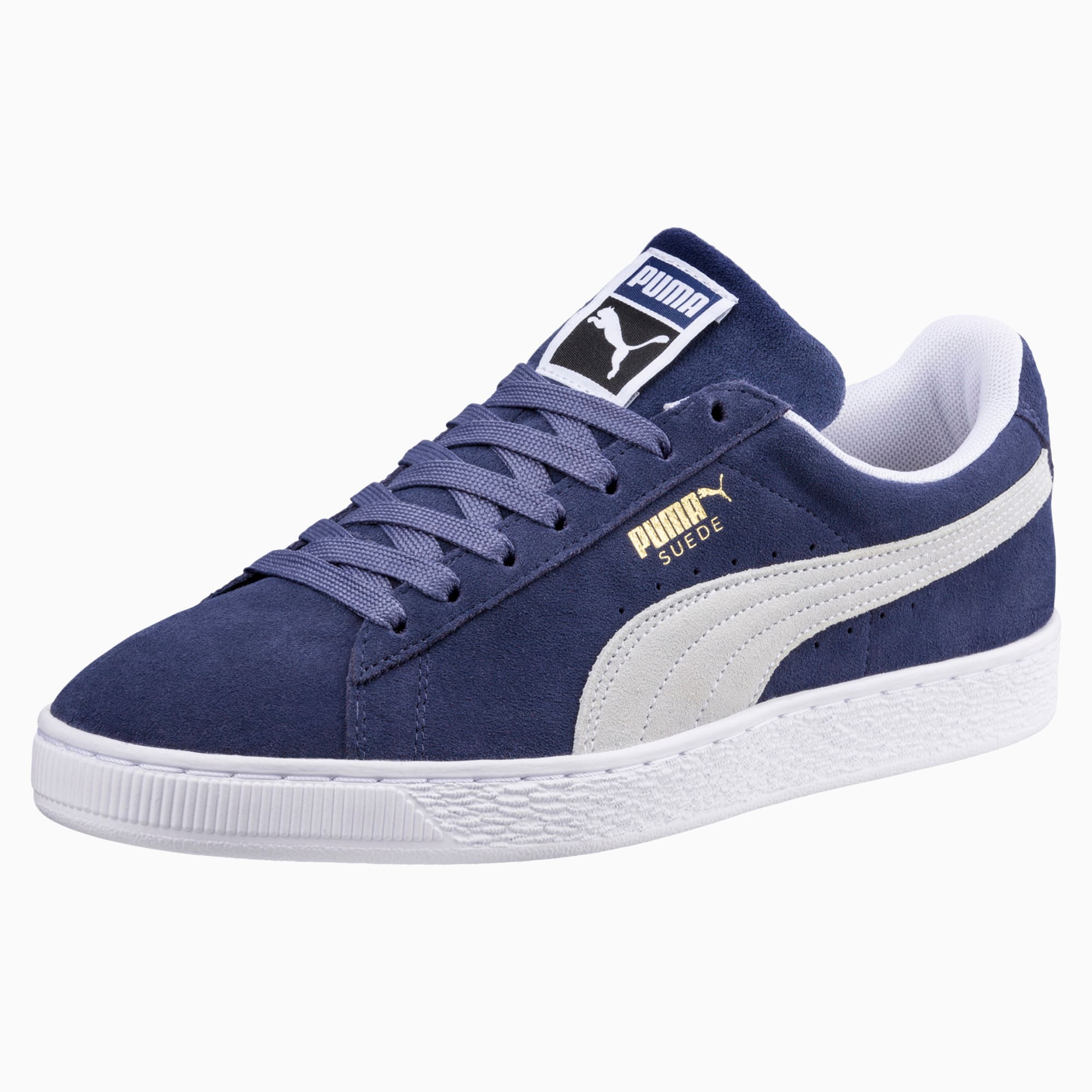 puma camoscio