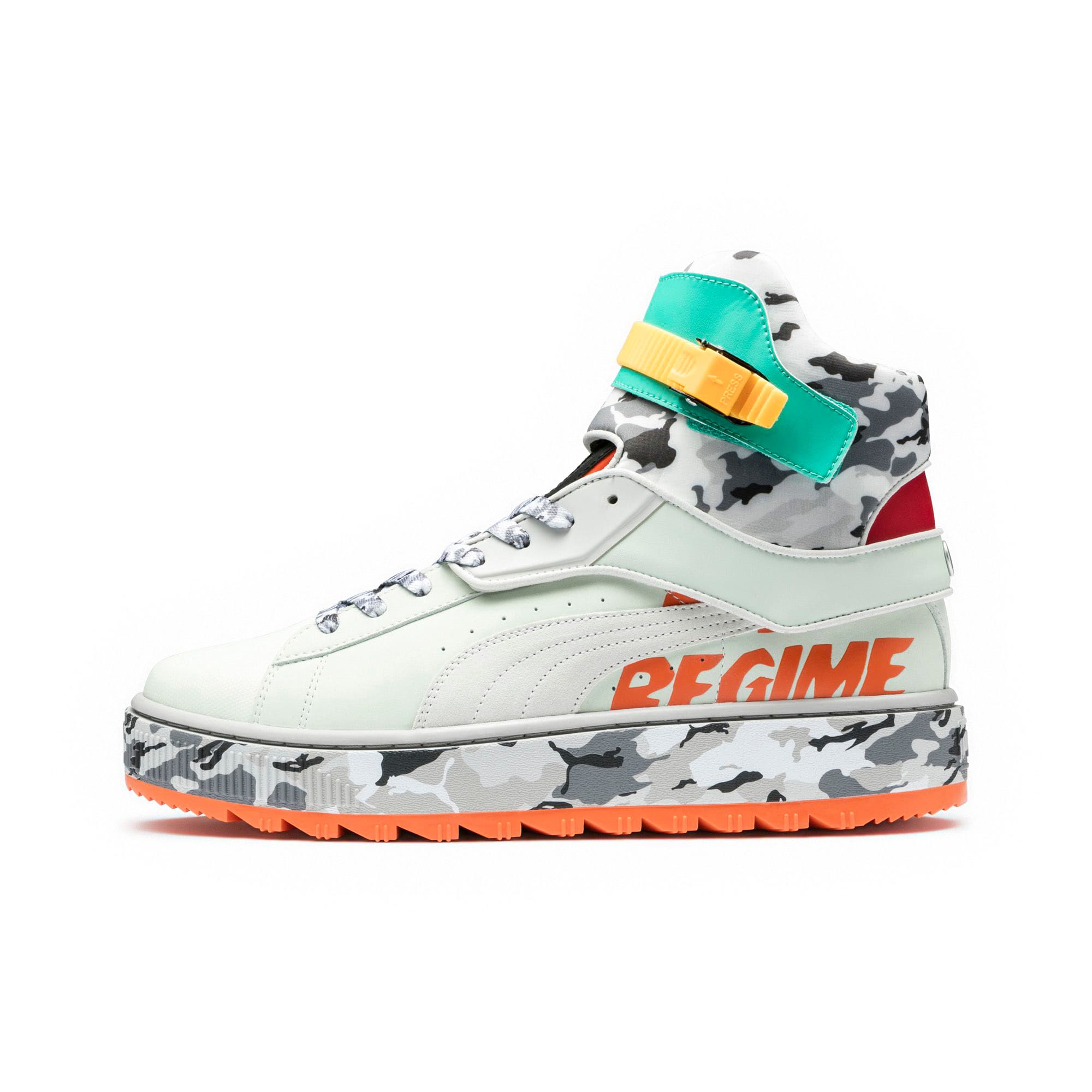 Puma regime