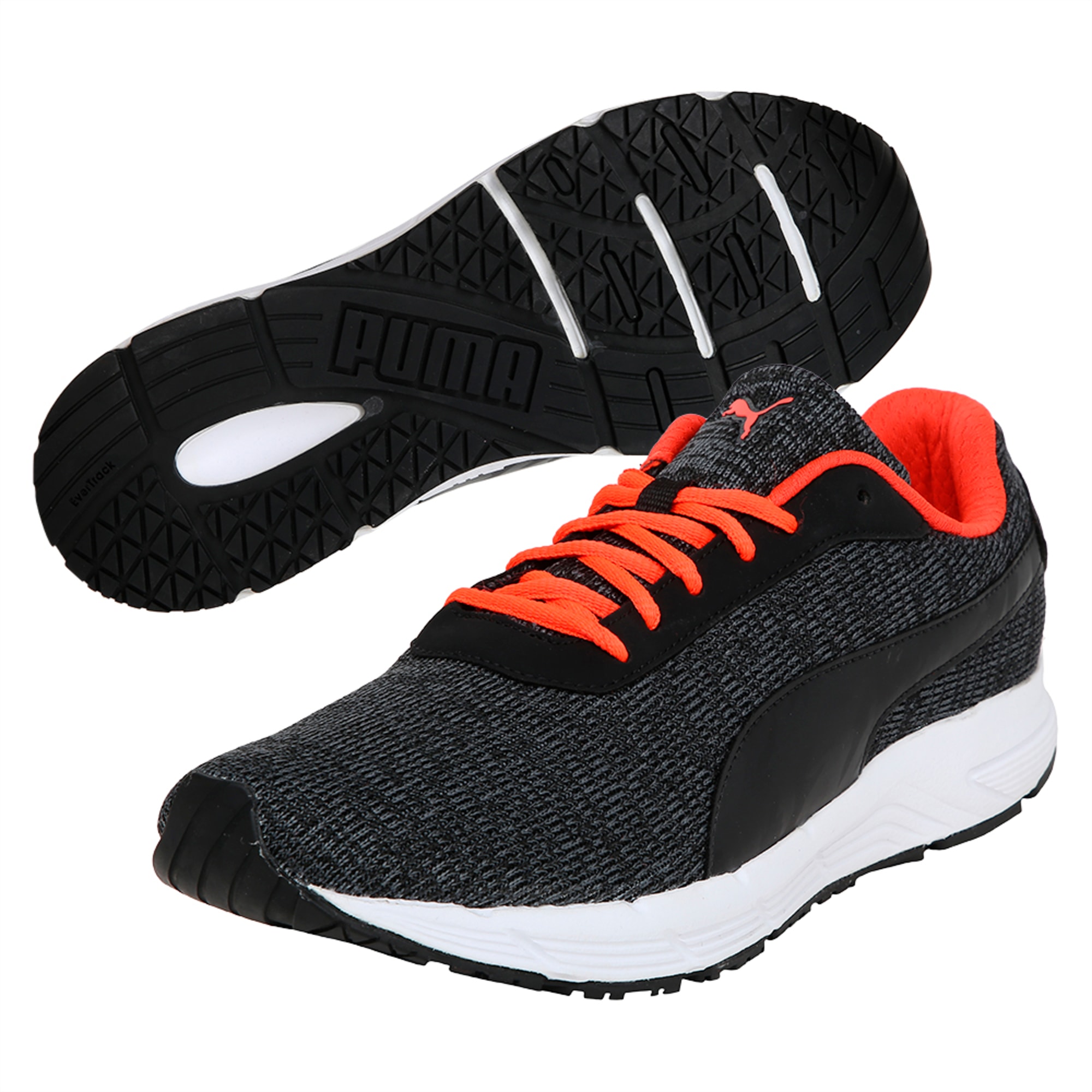 tenis bmw puma roma