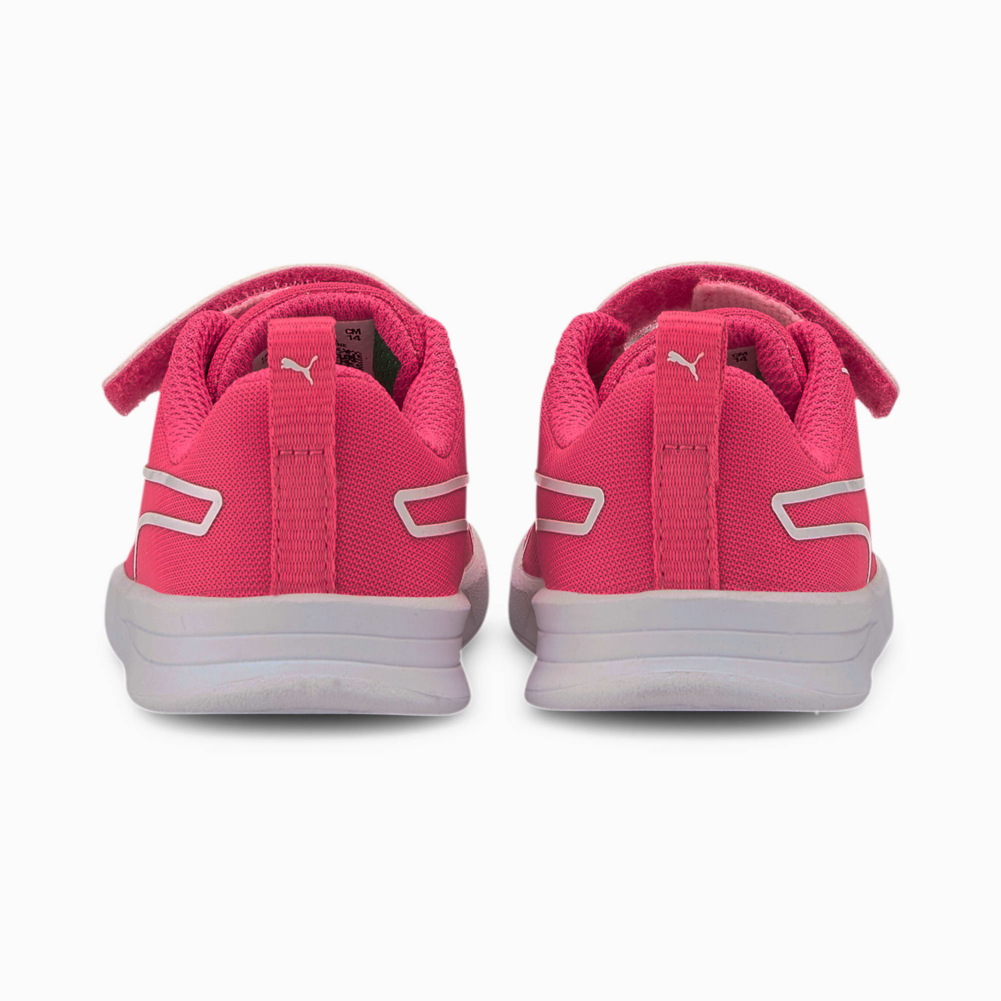 Puma kali v top