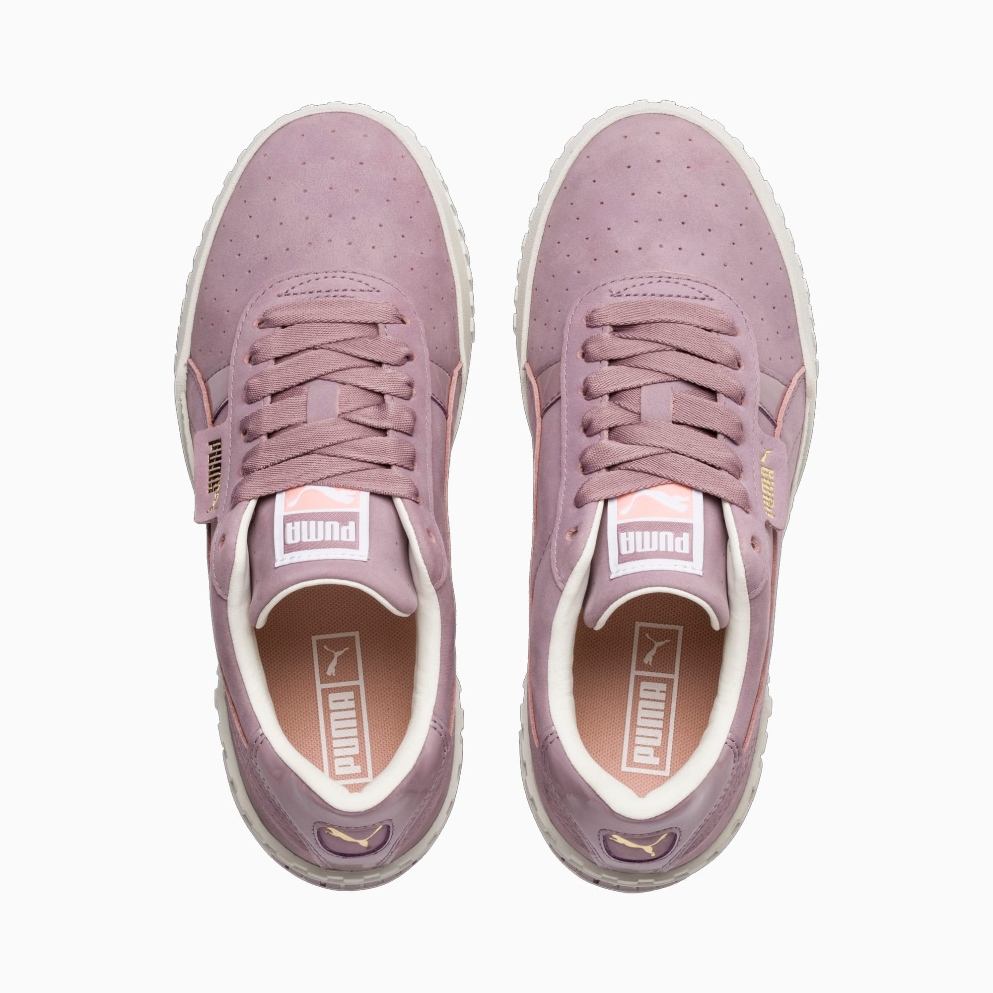 Puma cali elderberry on sale