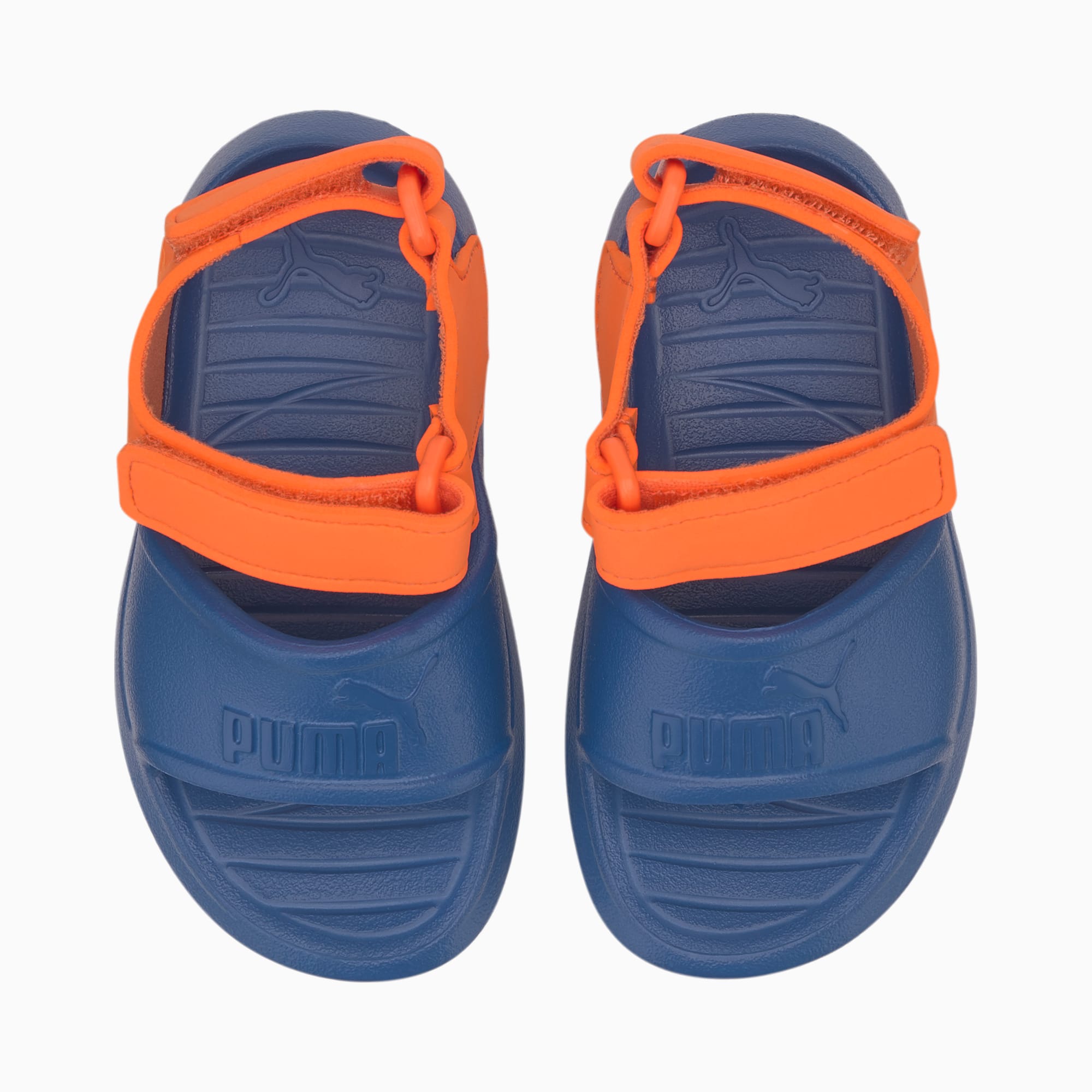 Puma divecat v2 injex 2025