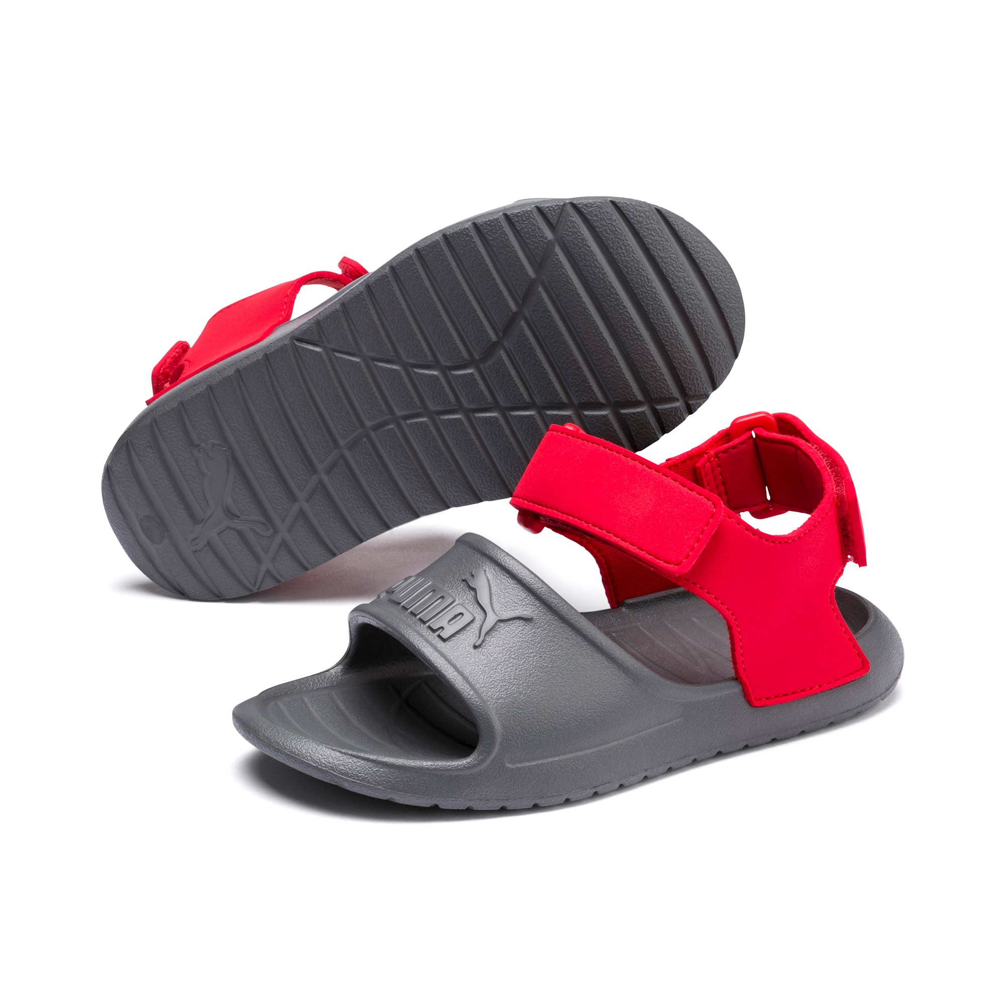 Puma divecat v2 injex 2025