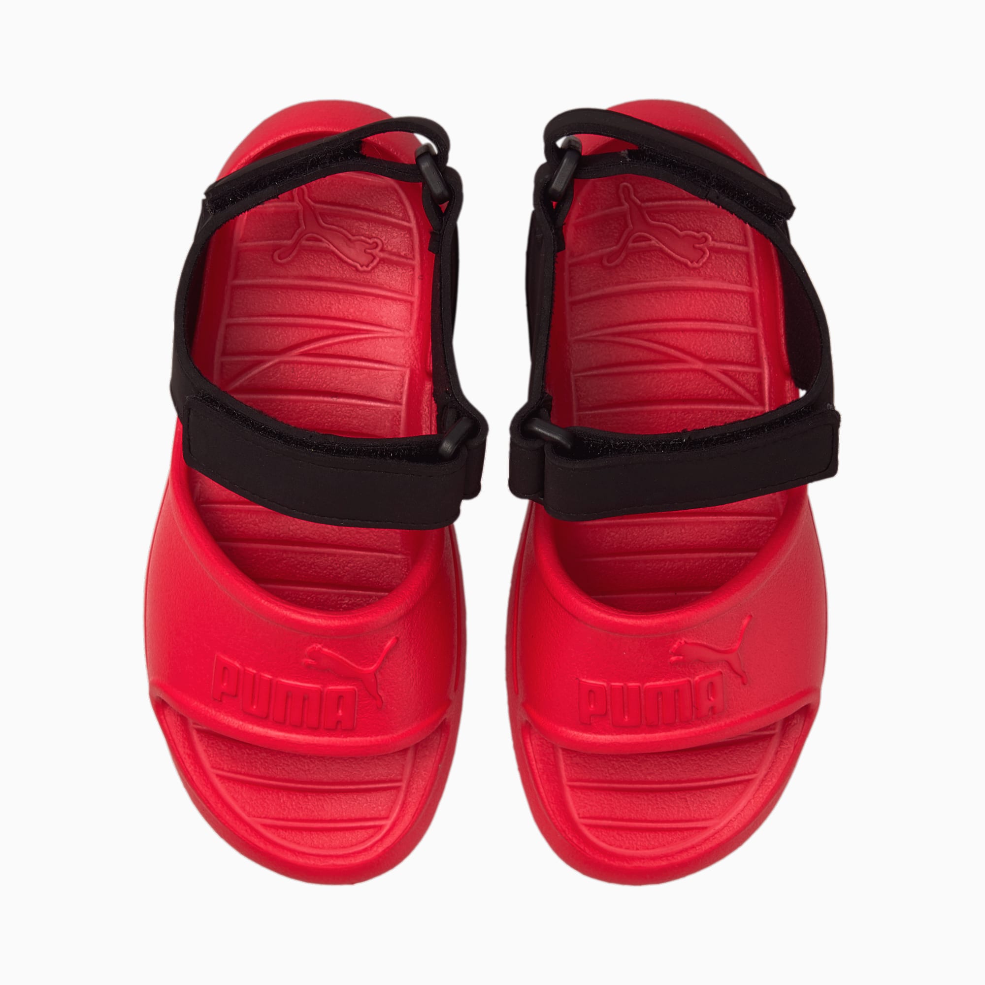 Puma divecat store