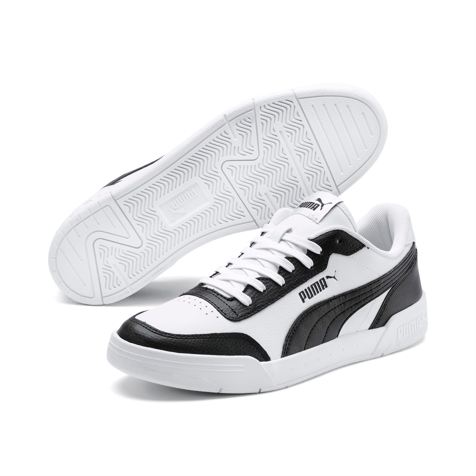 Puma caracal on sale