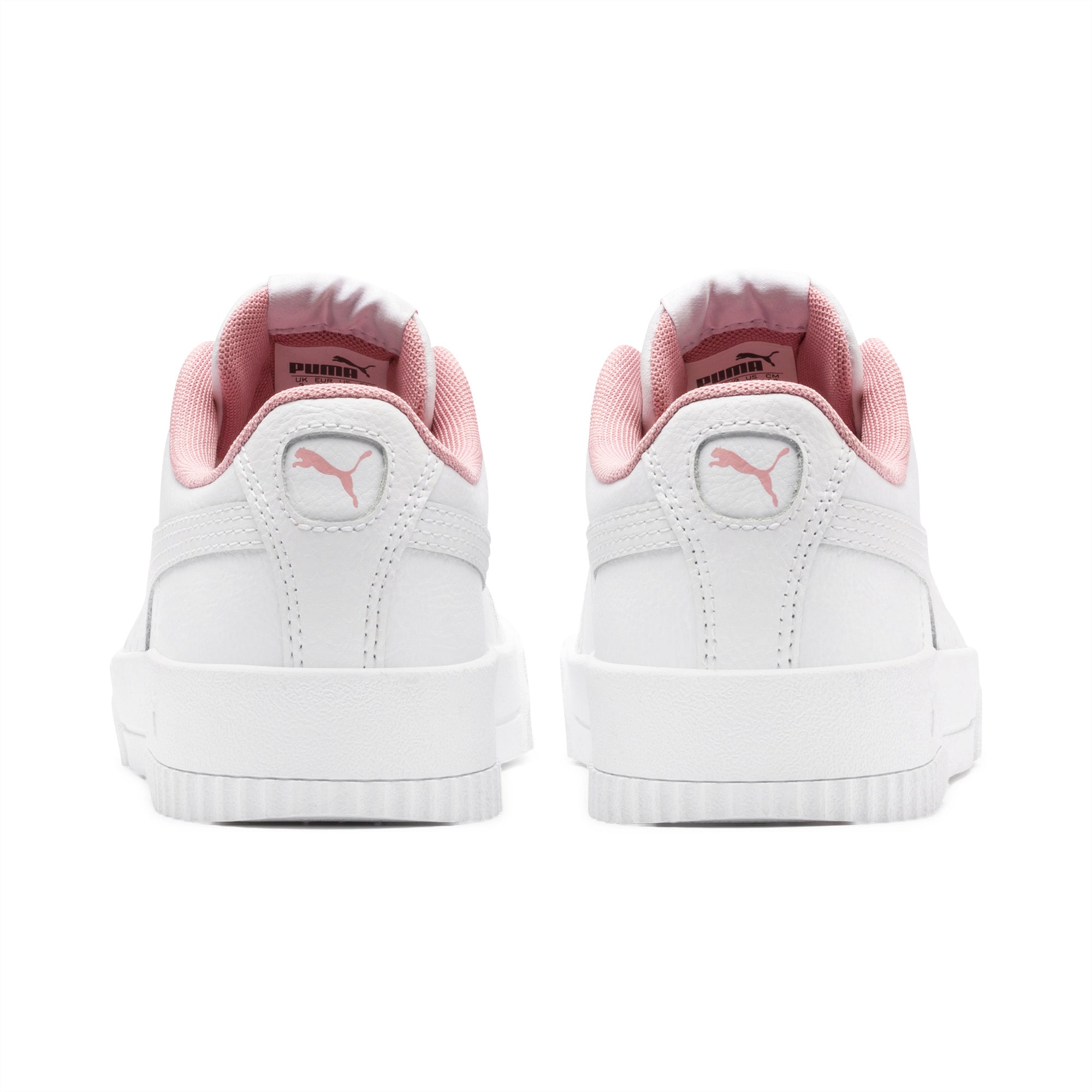 Carina L Youth Trainers