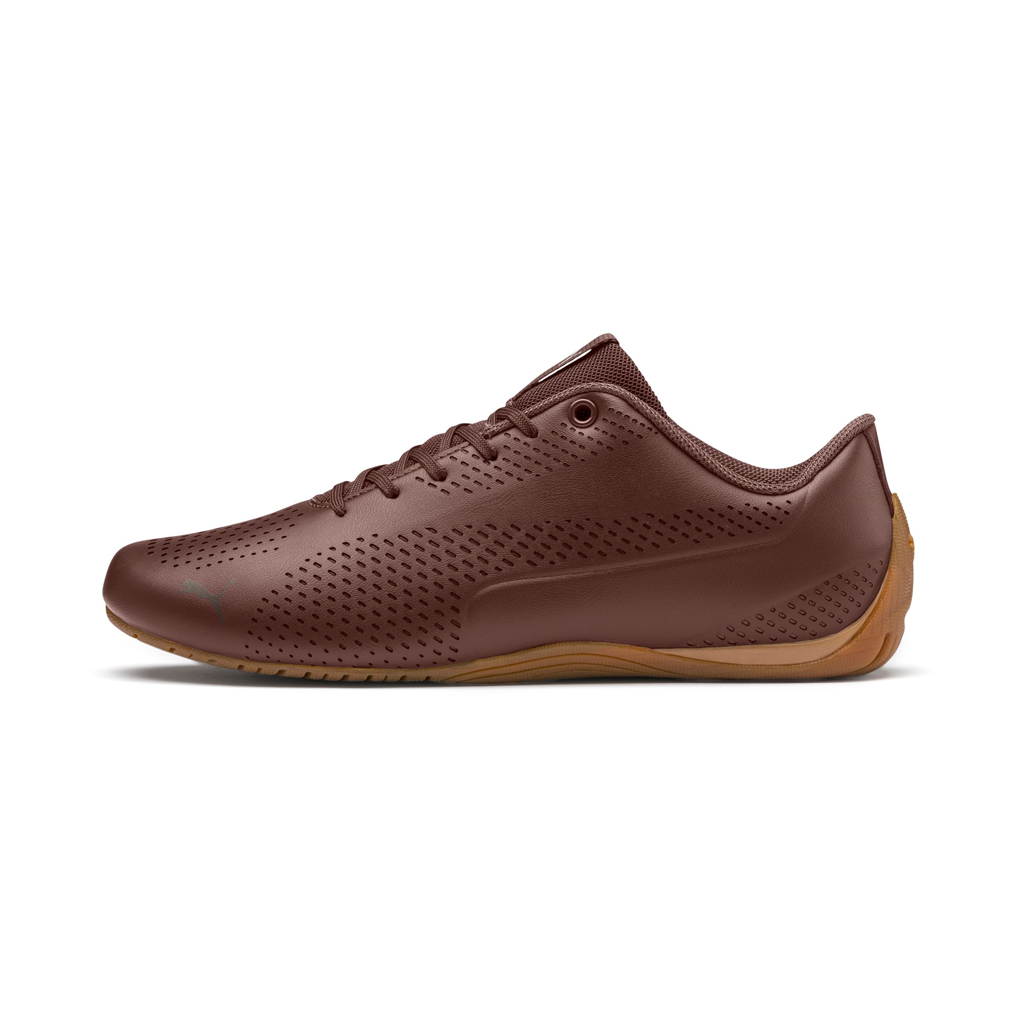 puma cat marron