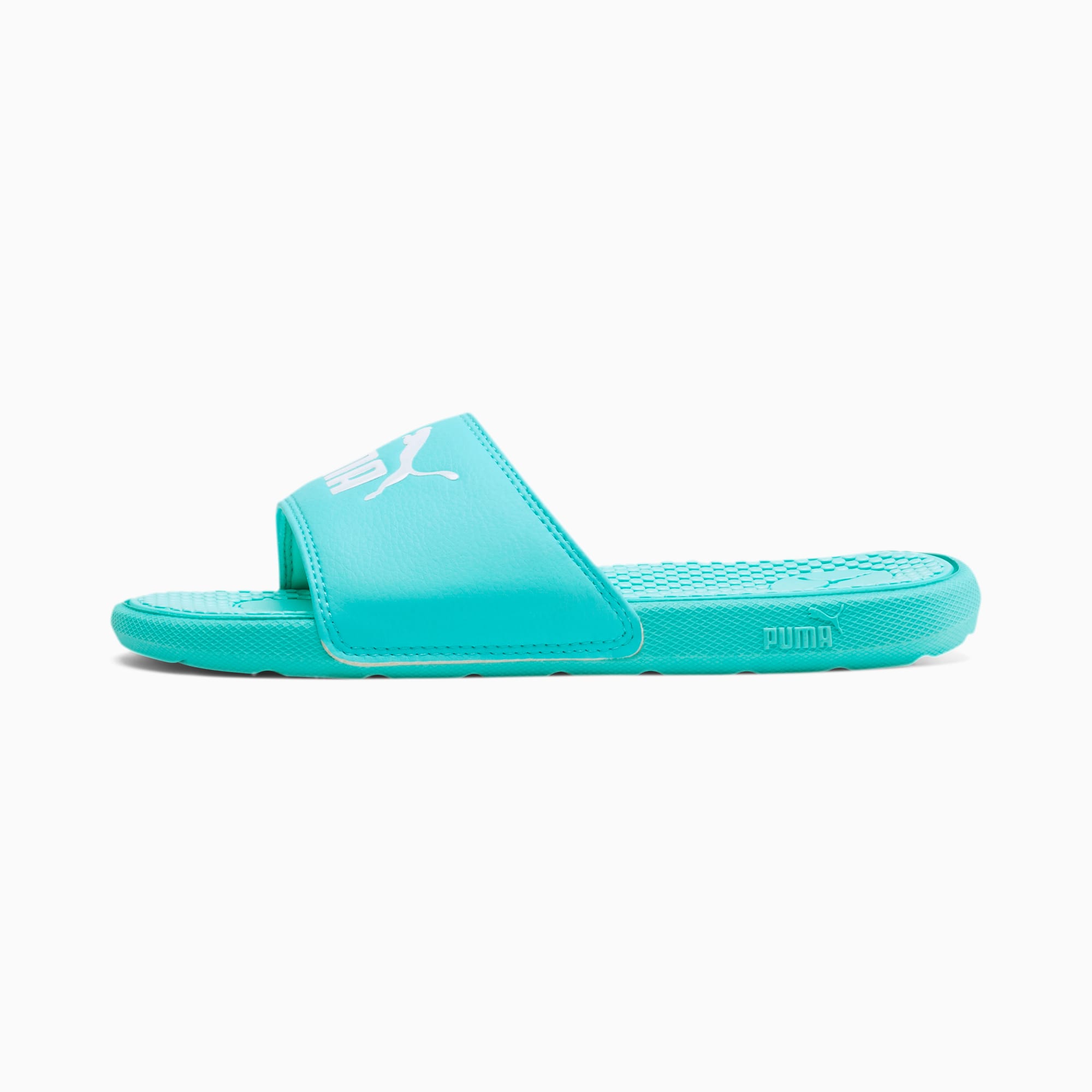 blue and white slides