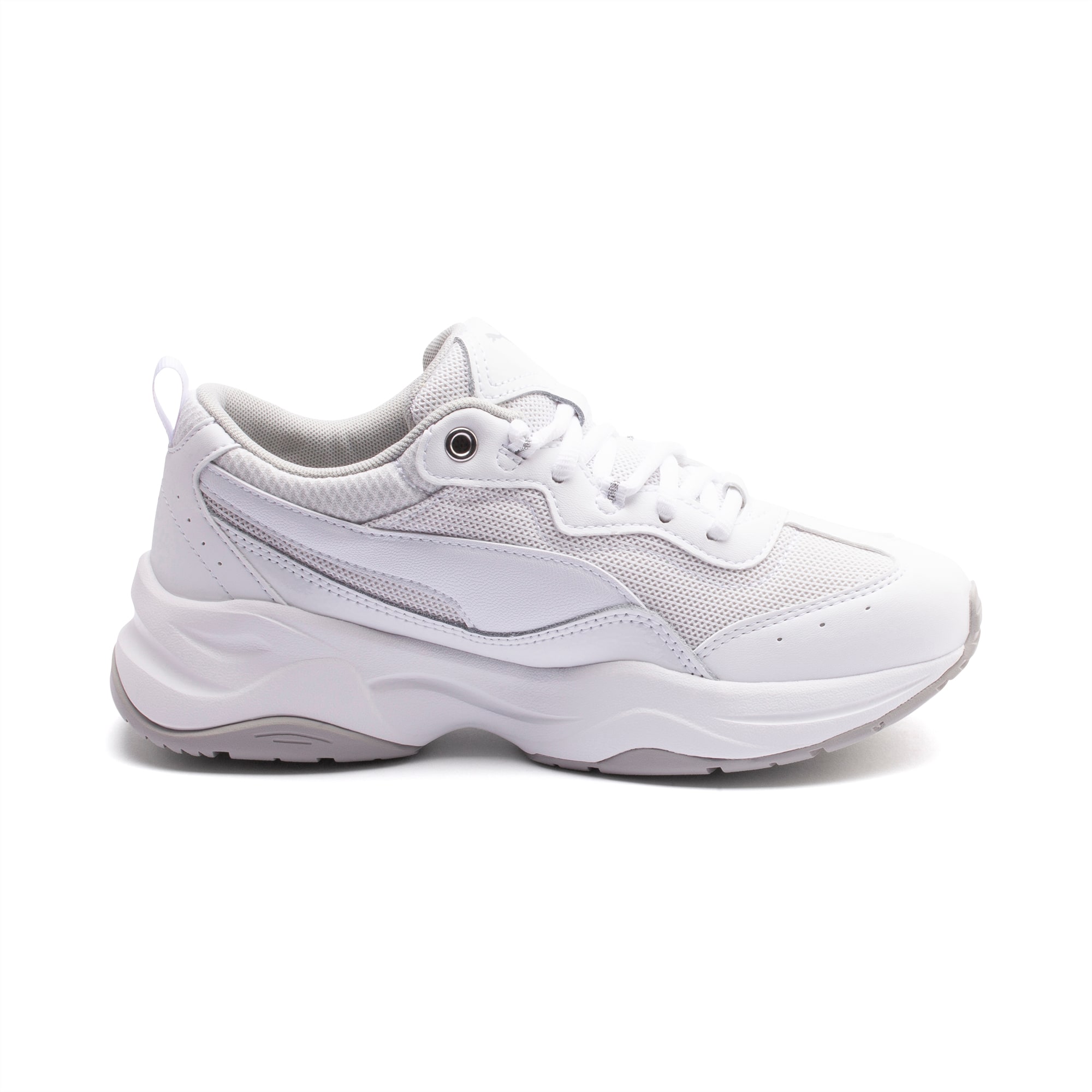 Puma cilia patent clearance