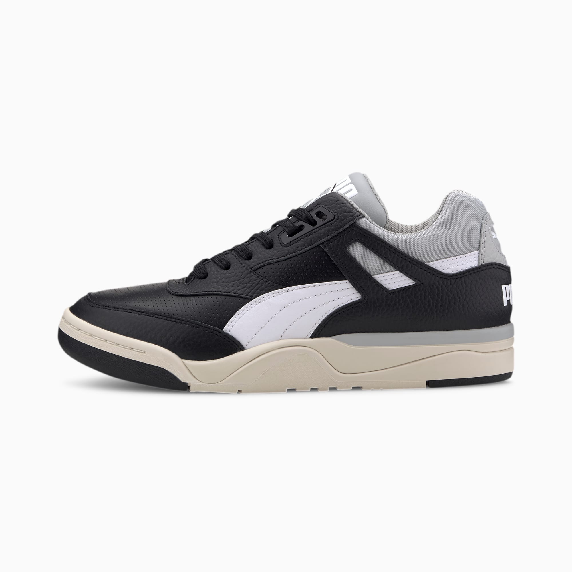 Palace guard puma