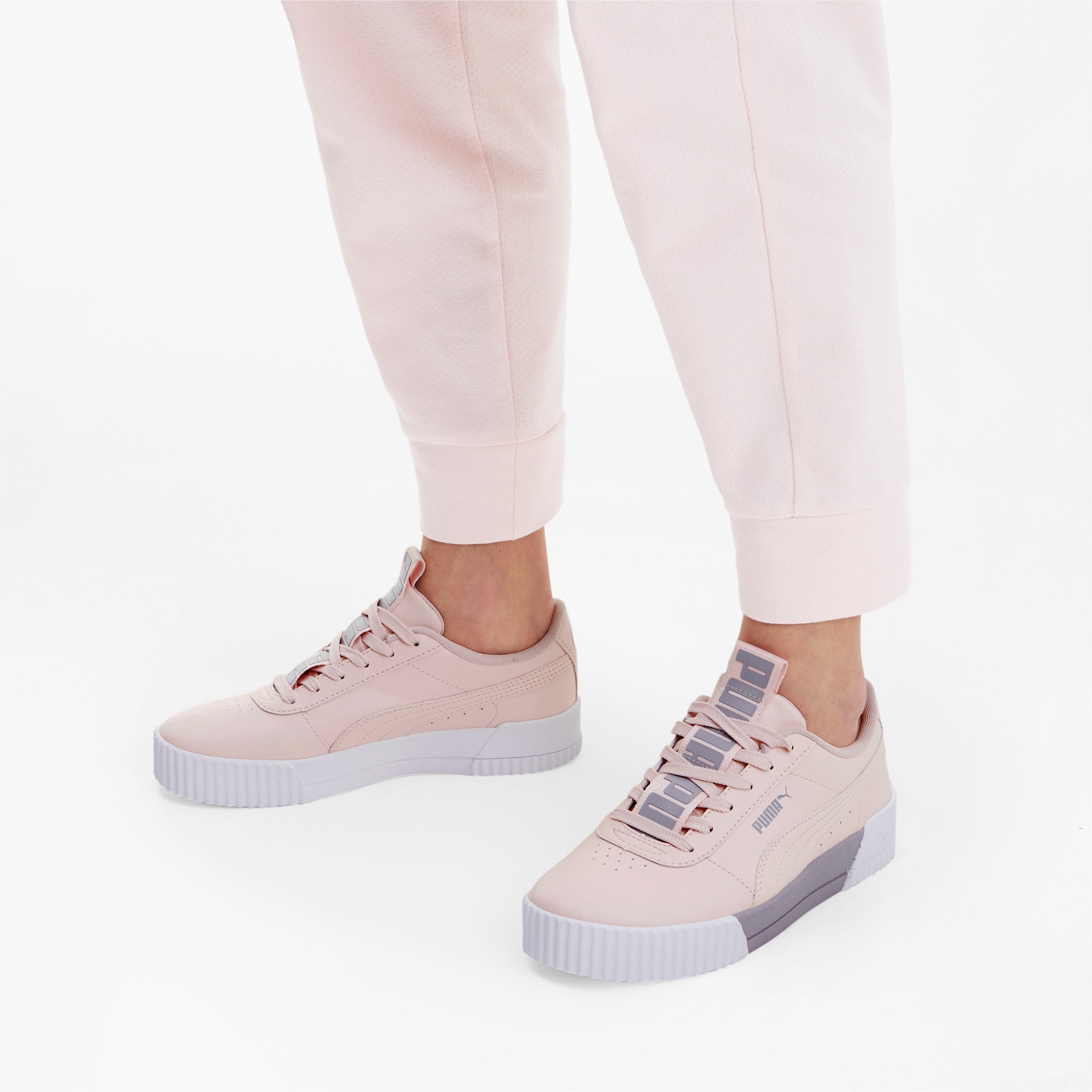 Puma carina bold