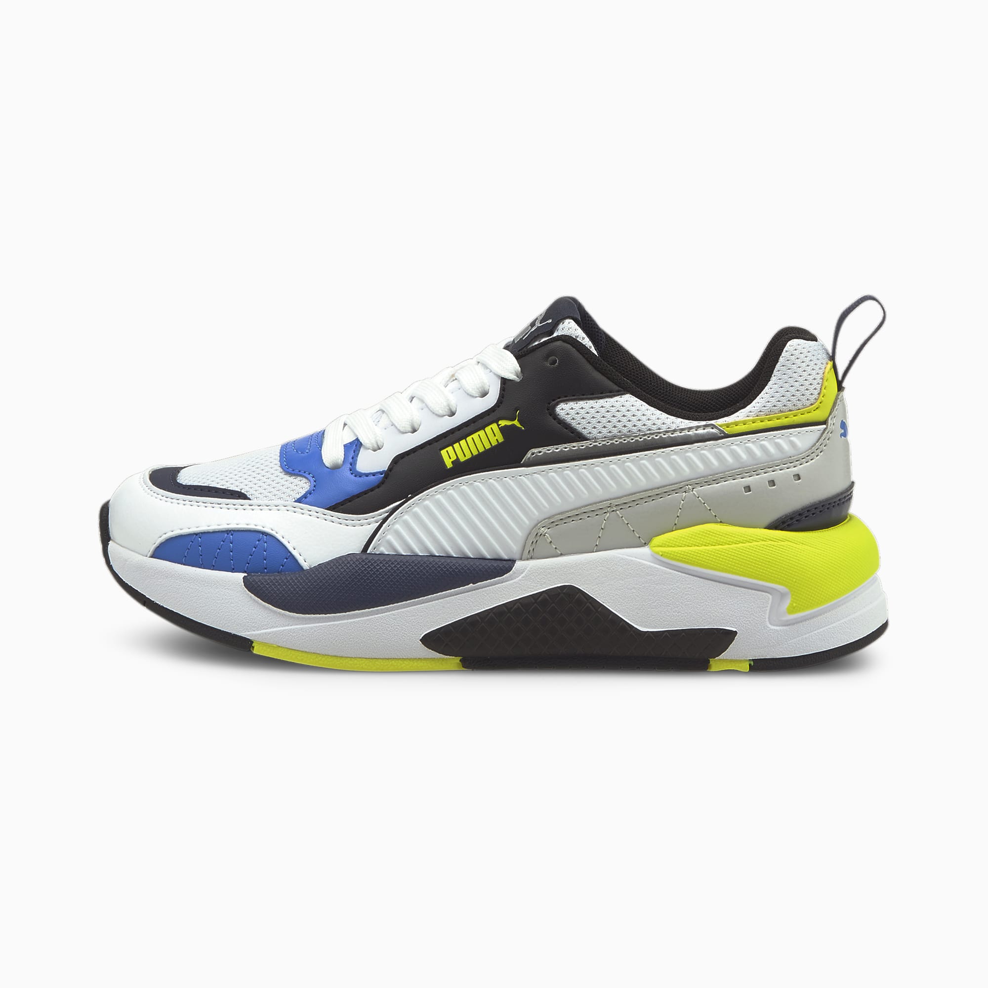 Puma ray 2