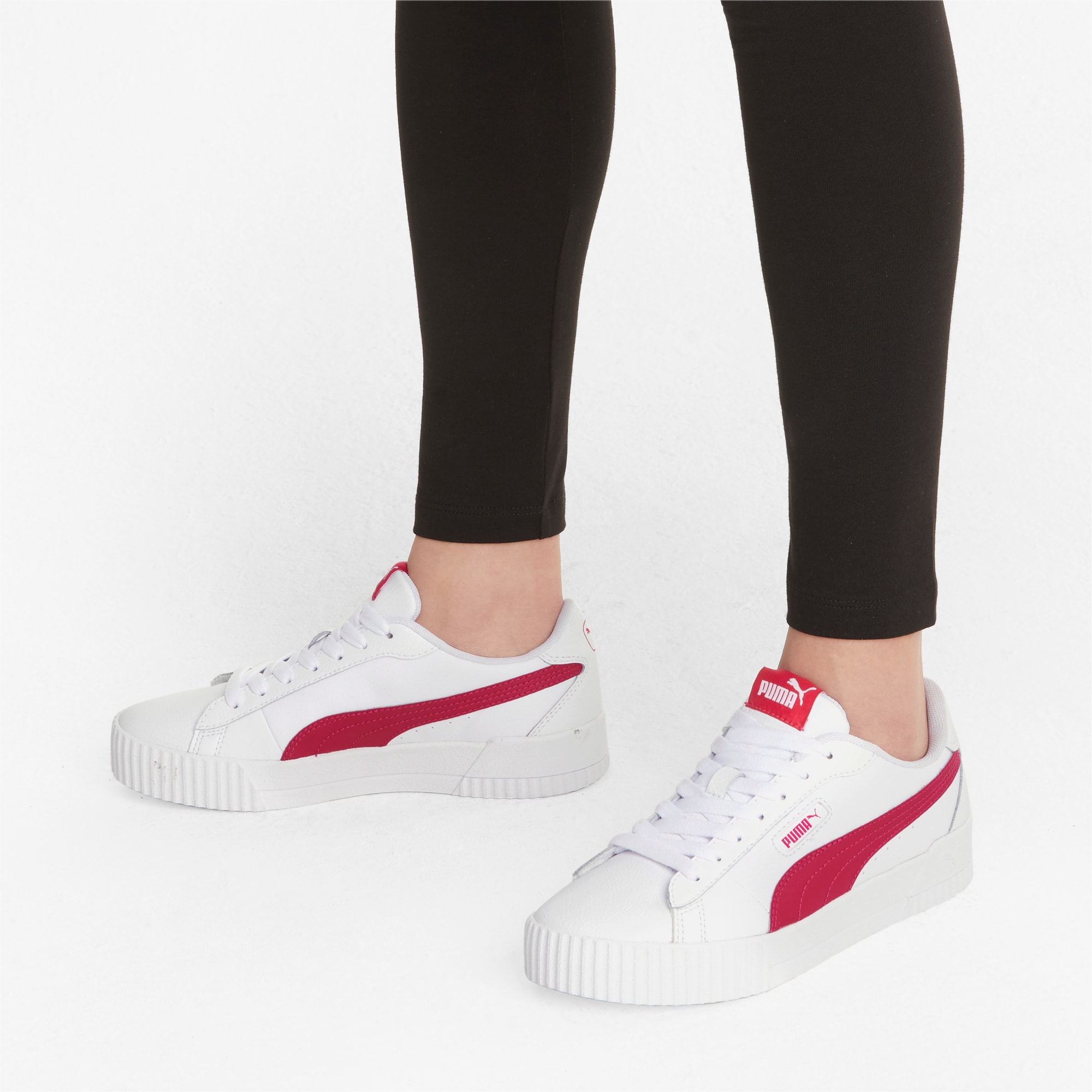 Puma carine