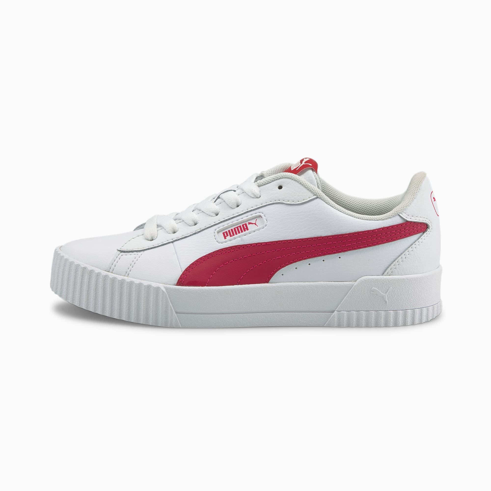 Puma carine