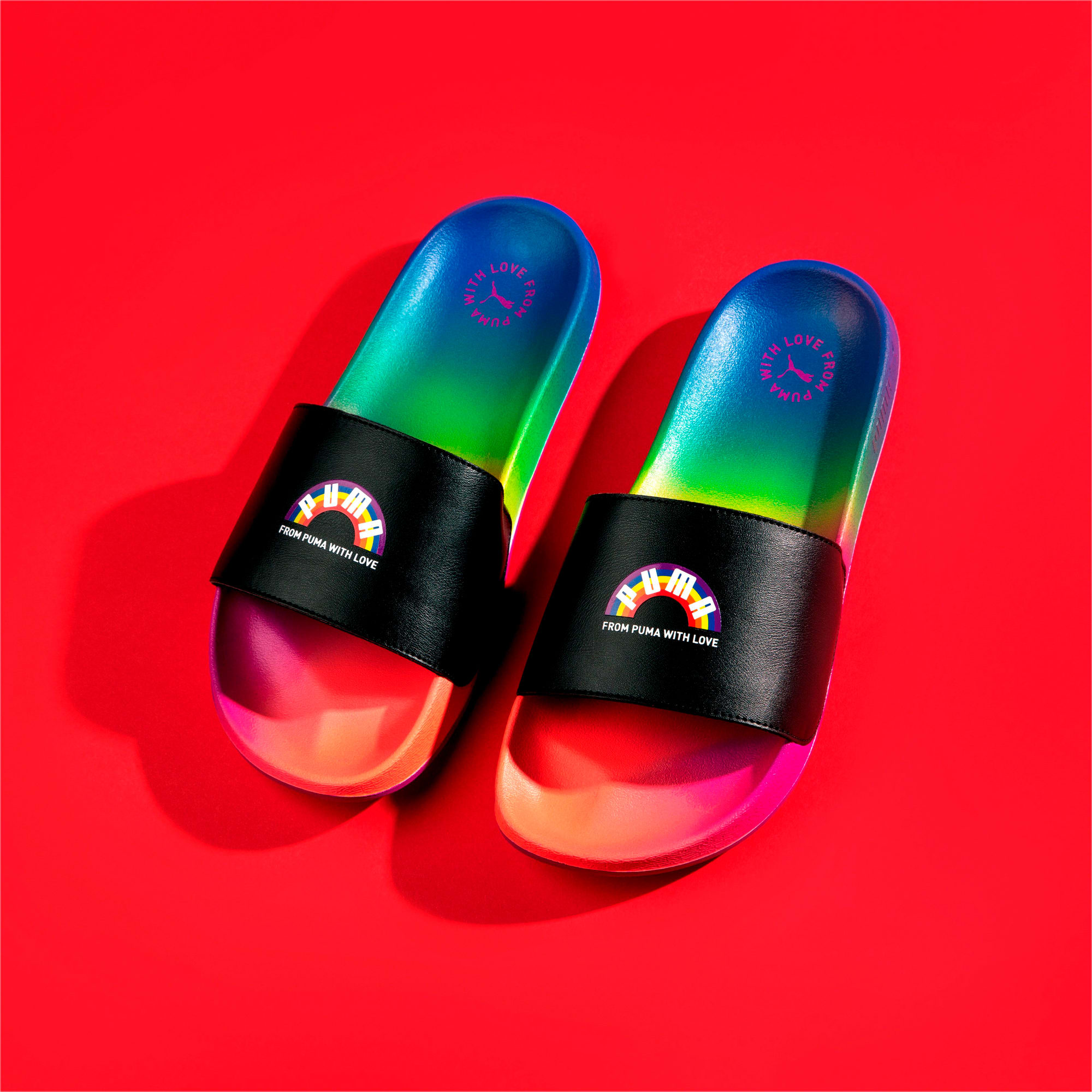 rainbow puma slides