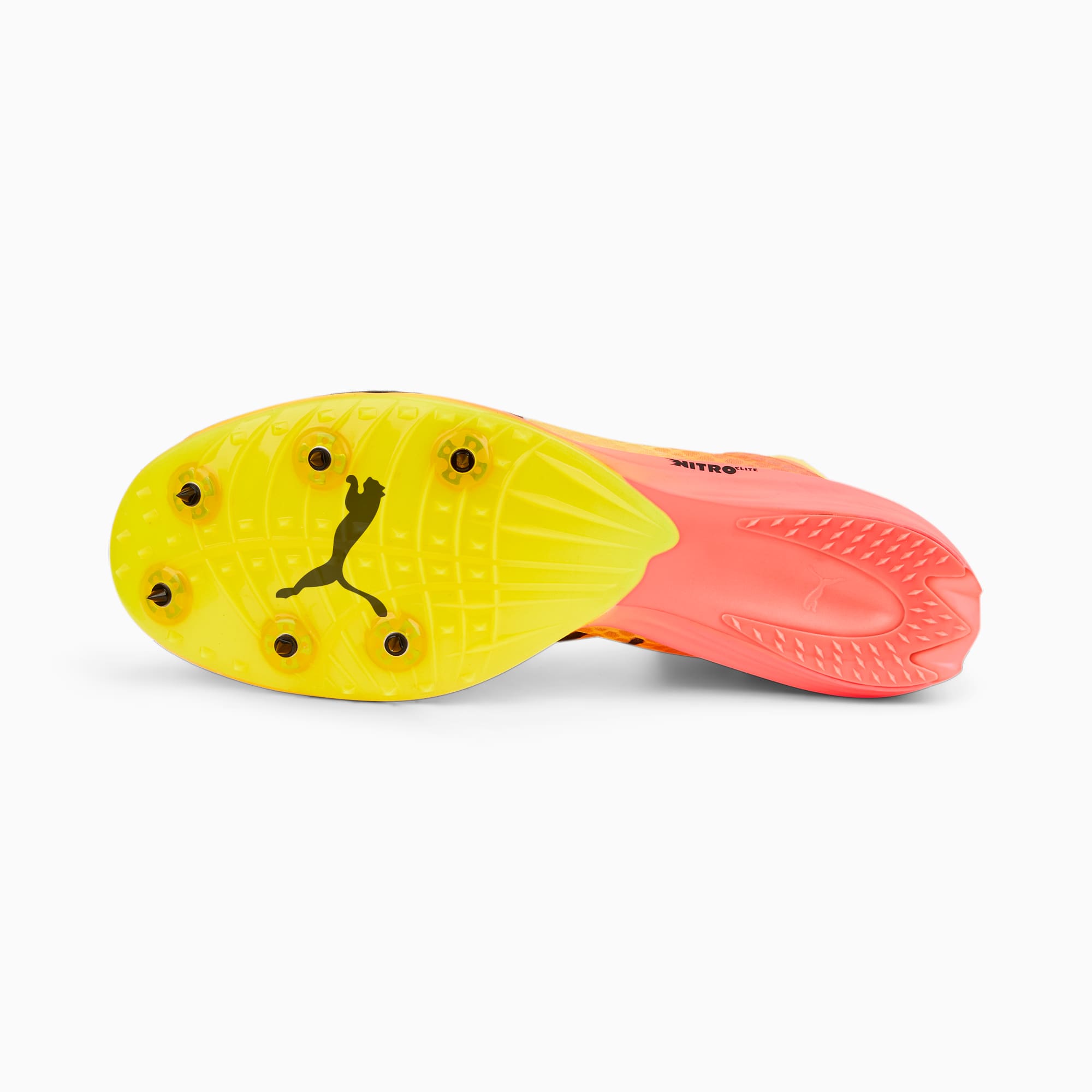 Puma evospeed range discount