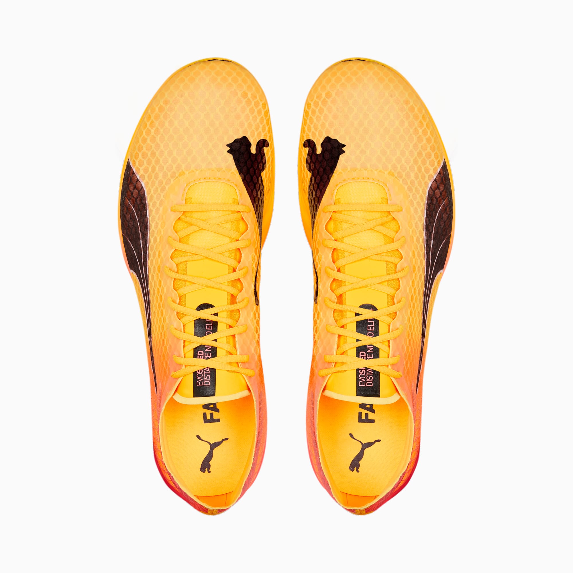 Pointes puma shop
