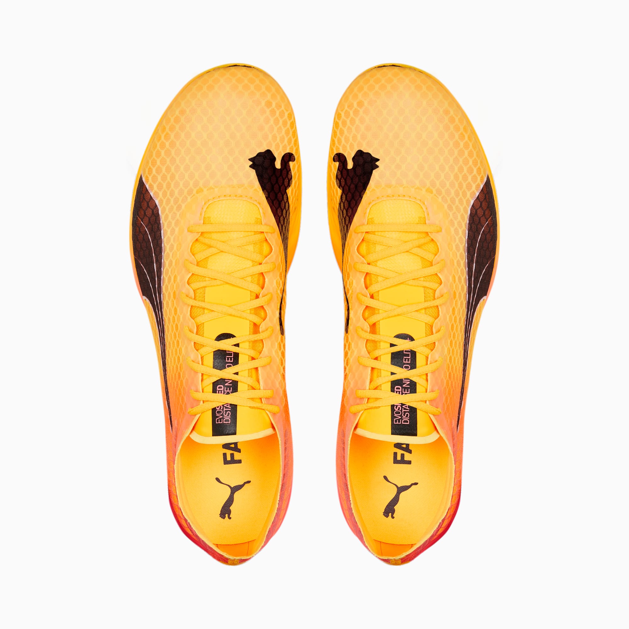 Zapatillas Clavos Atletismo Puma Evospeed Sprint 14 Unisex Celeste