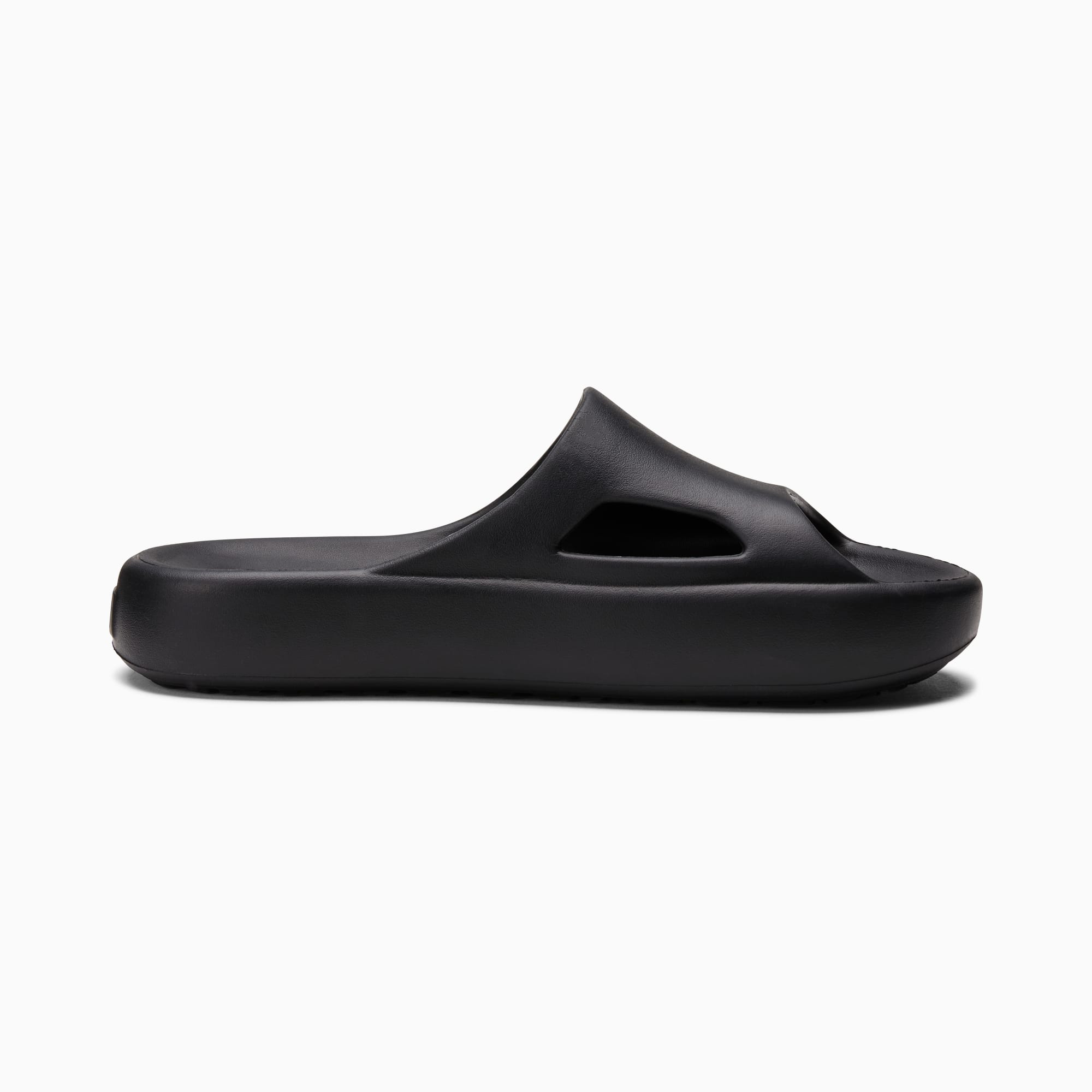 Shibui-Cat-Big-Kids'-Slides