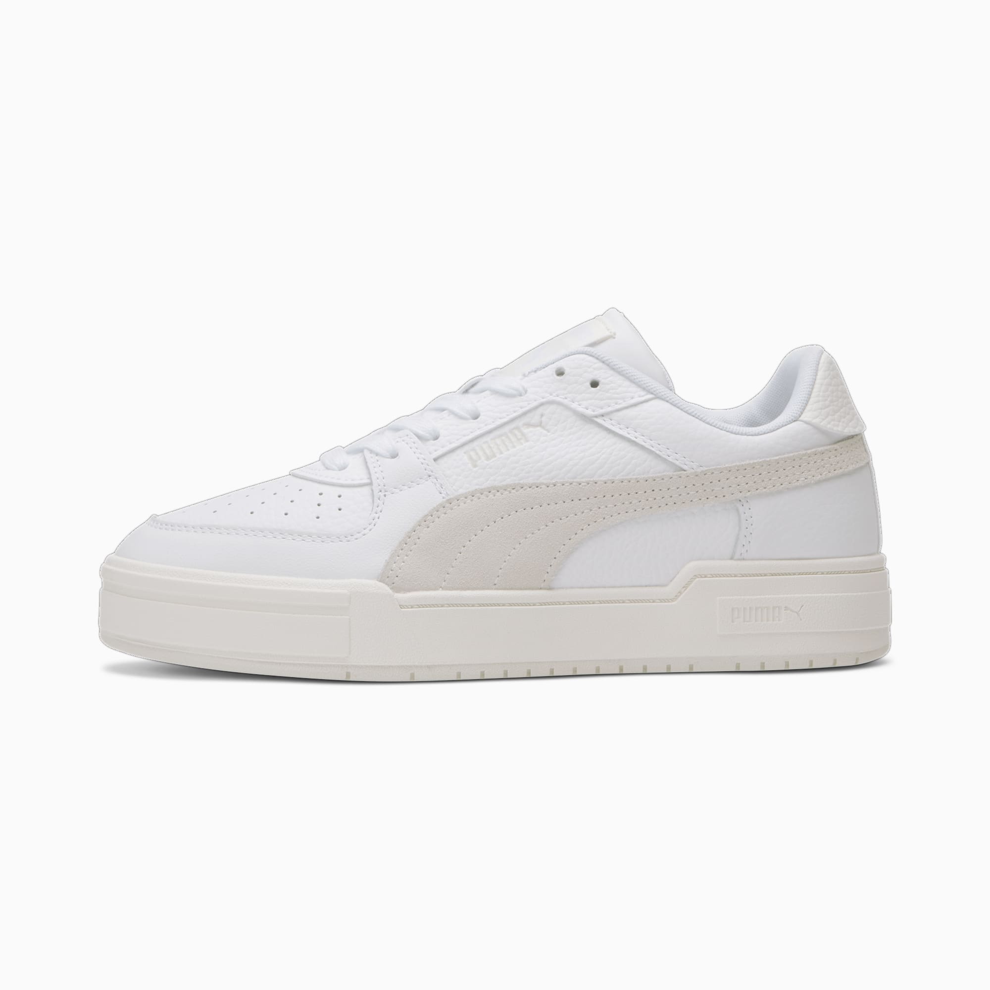 California puma clearance