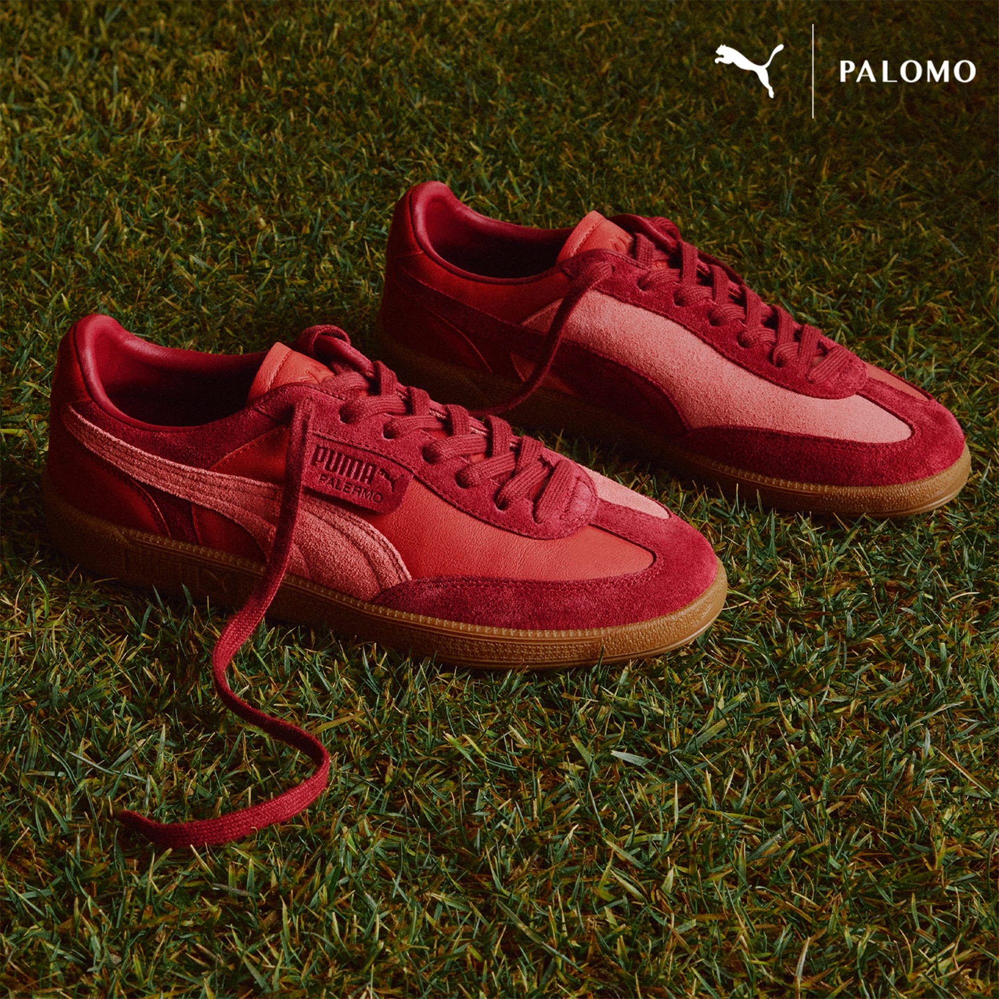 Puma pink and red top