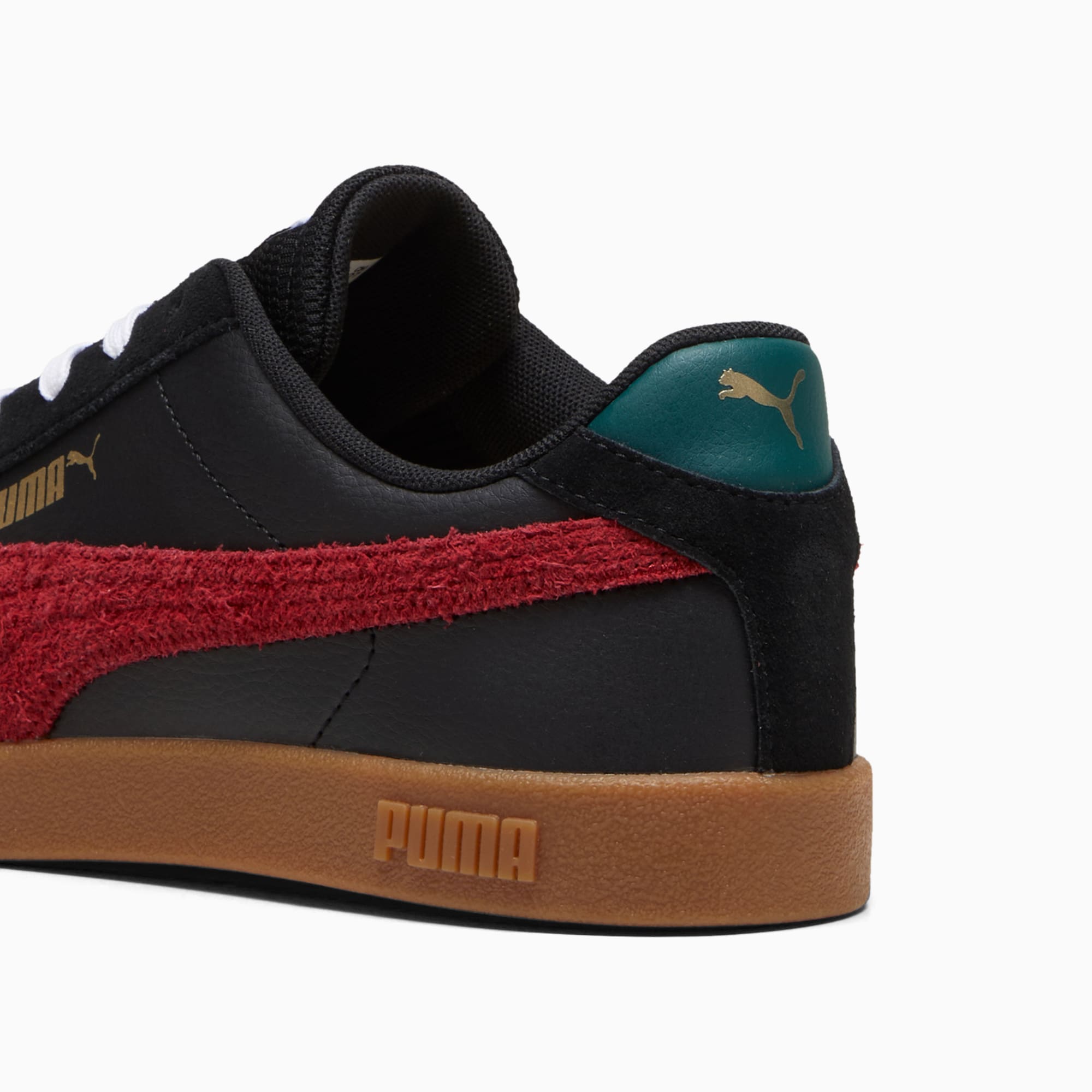 Burgundy and orange blooded pumas