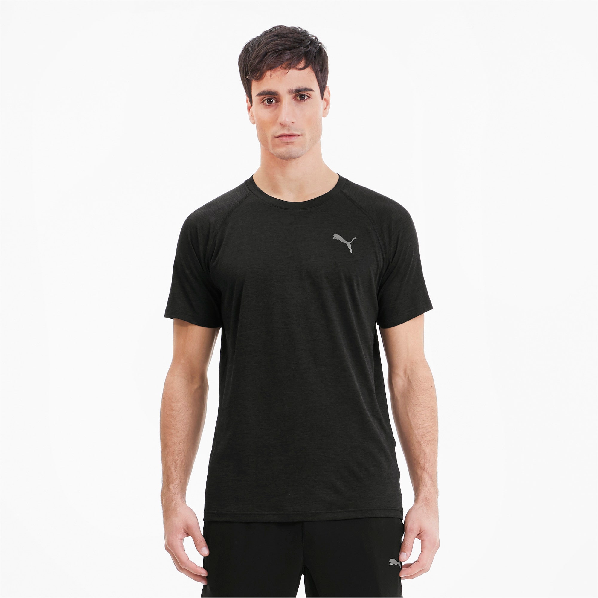 Puma shirt dry cell