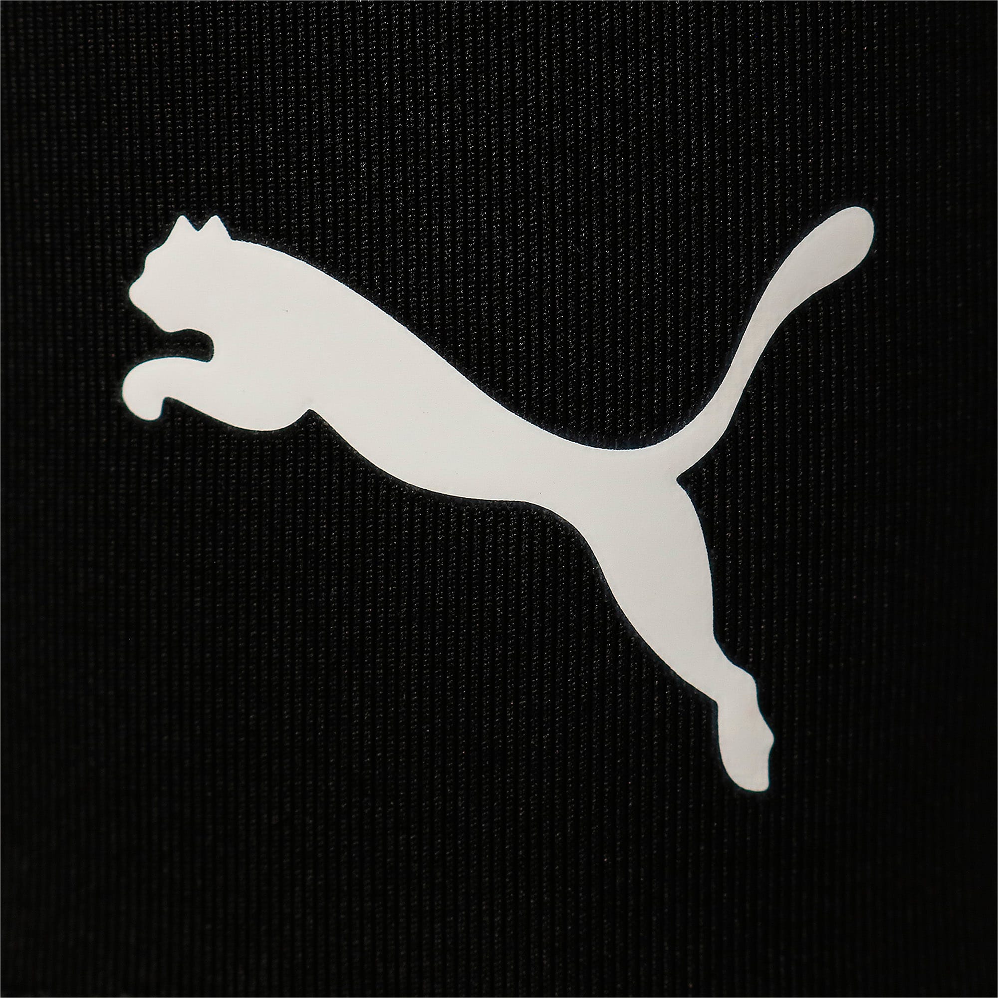 PUMA公式】ウィメンズ トレーニング PUMA STRONG ハイウエスト フル タイツ